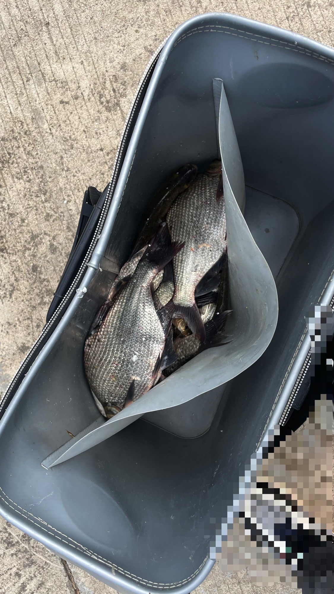 桂河大坝库湾野钓场