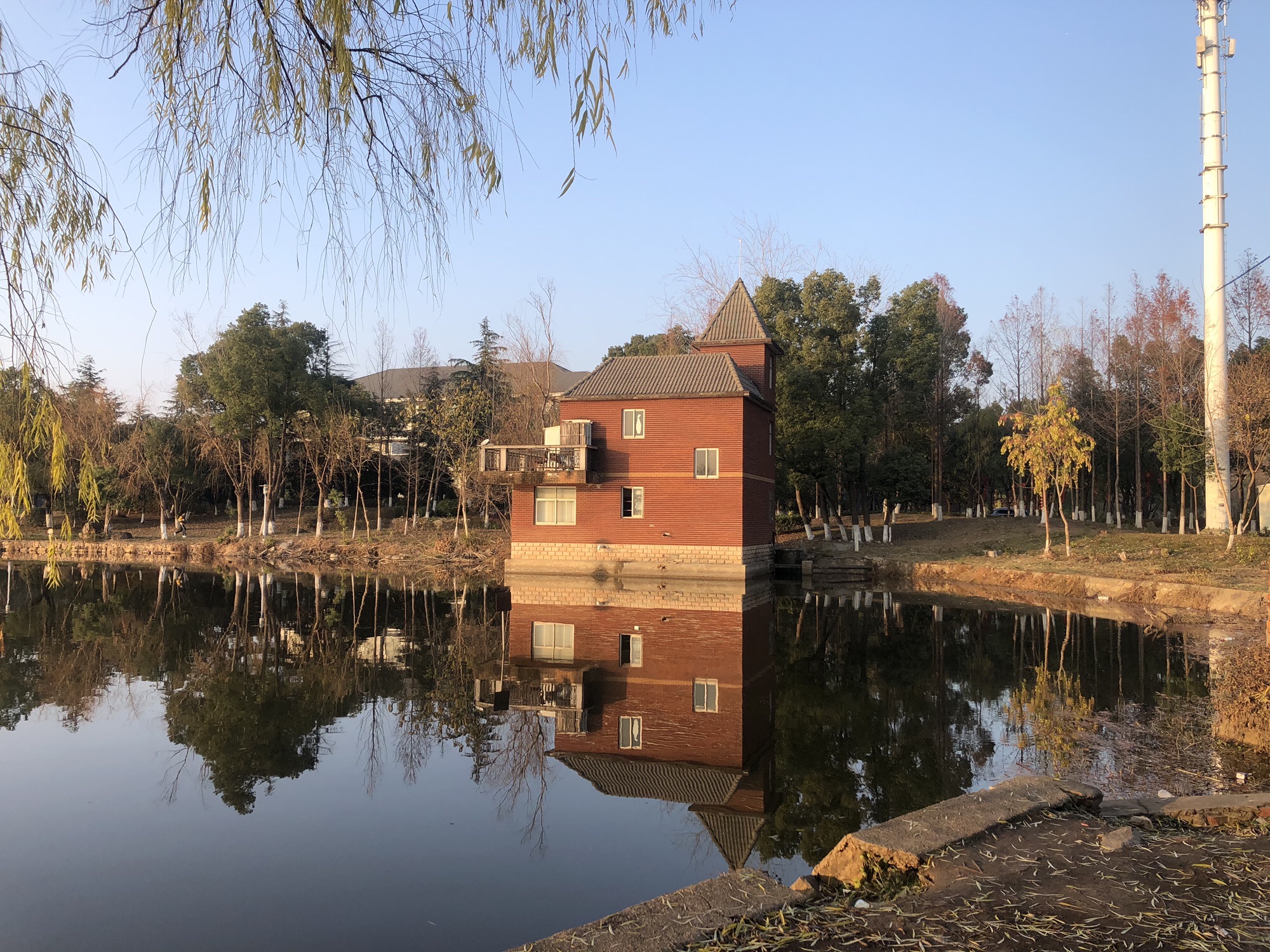 场地封面-汤逊湖露营地