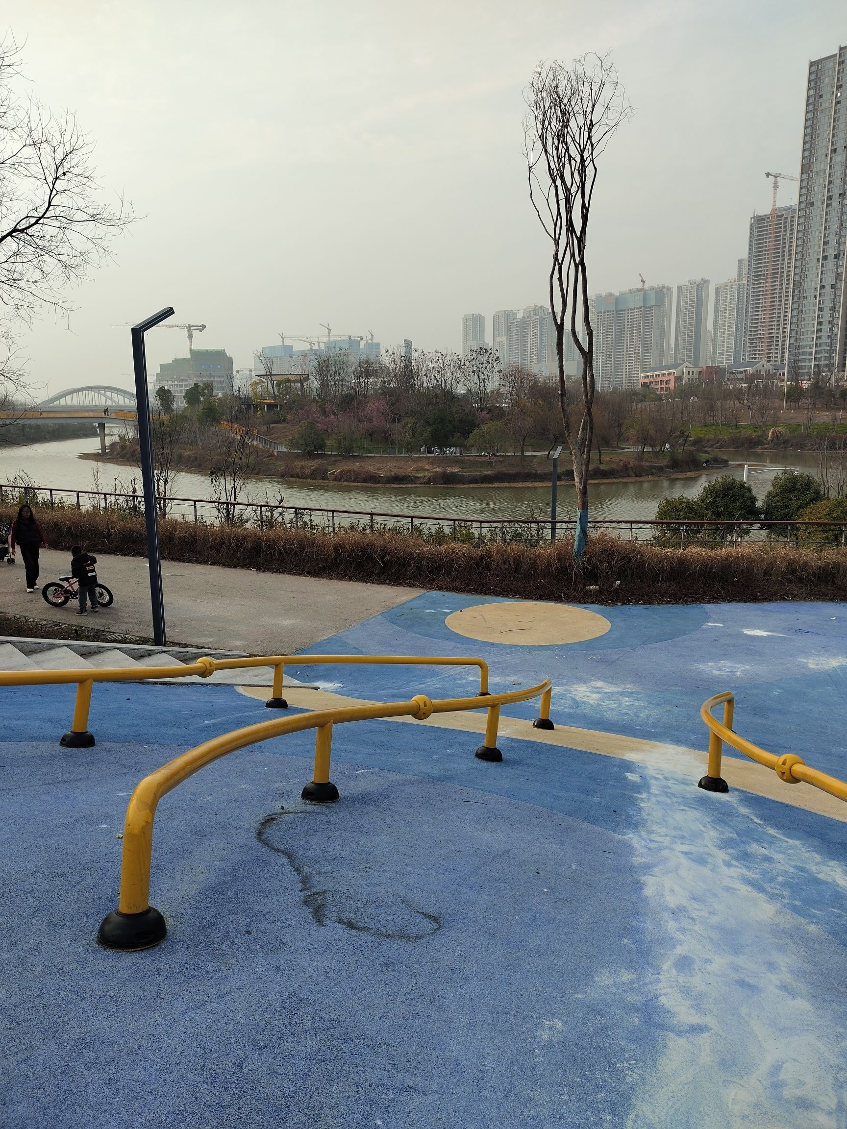 龙王港生态公园旅行图片 3