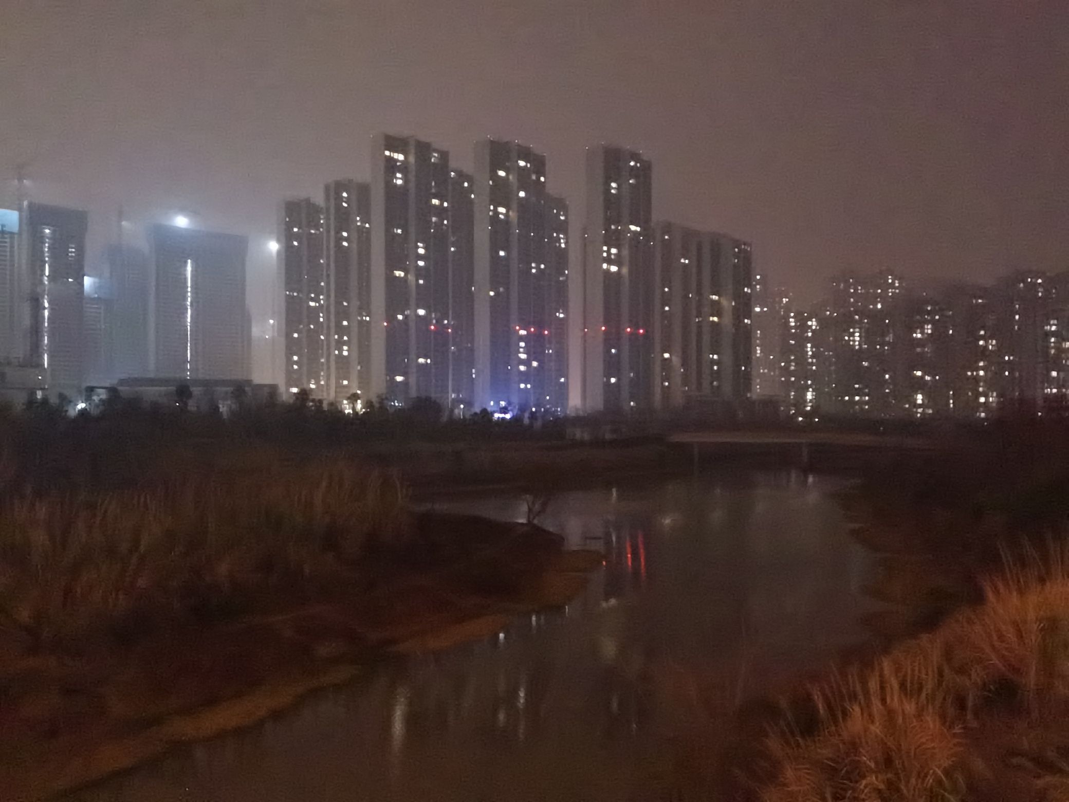 龙王港生态公园旅行图片 2