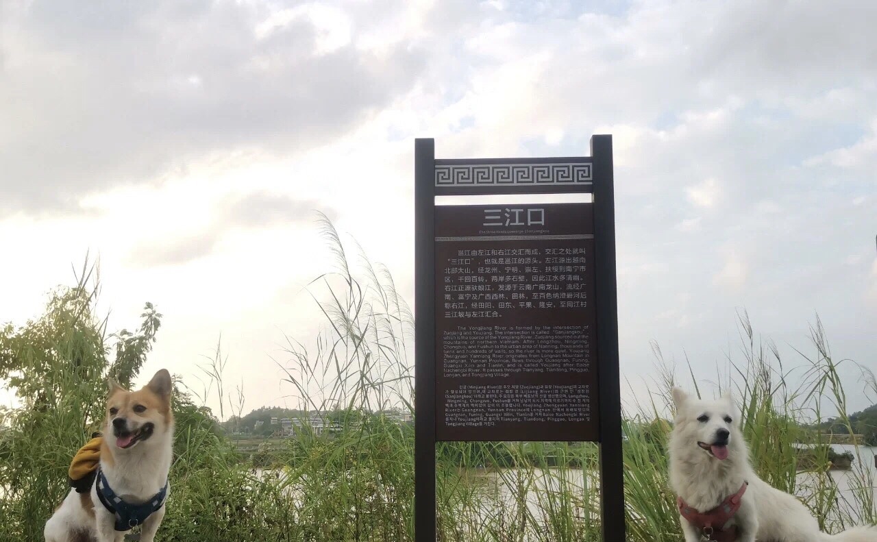 南宁三江口景区旅行图片 1