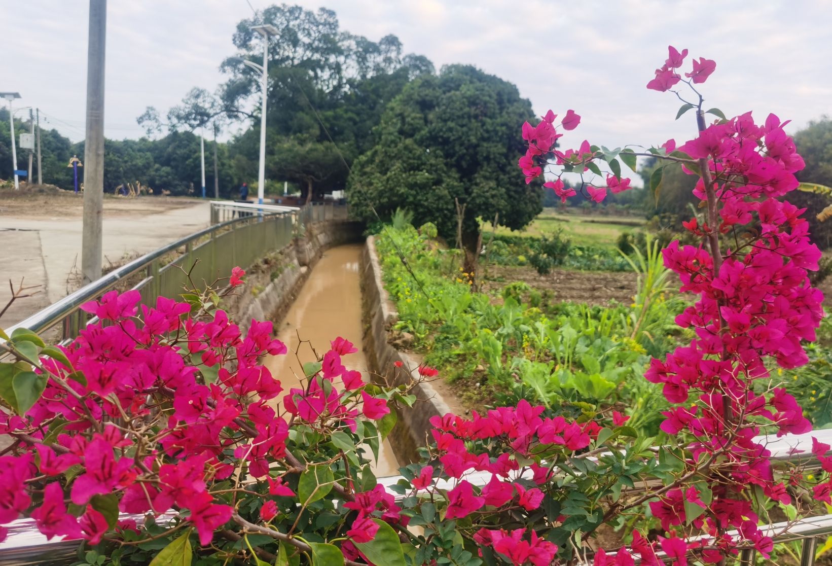 沙湖门楼旅行图片 3