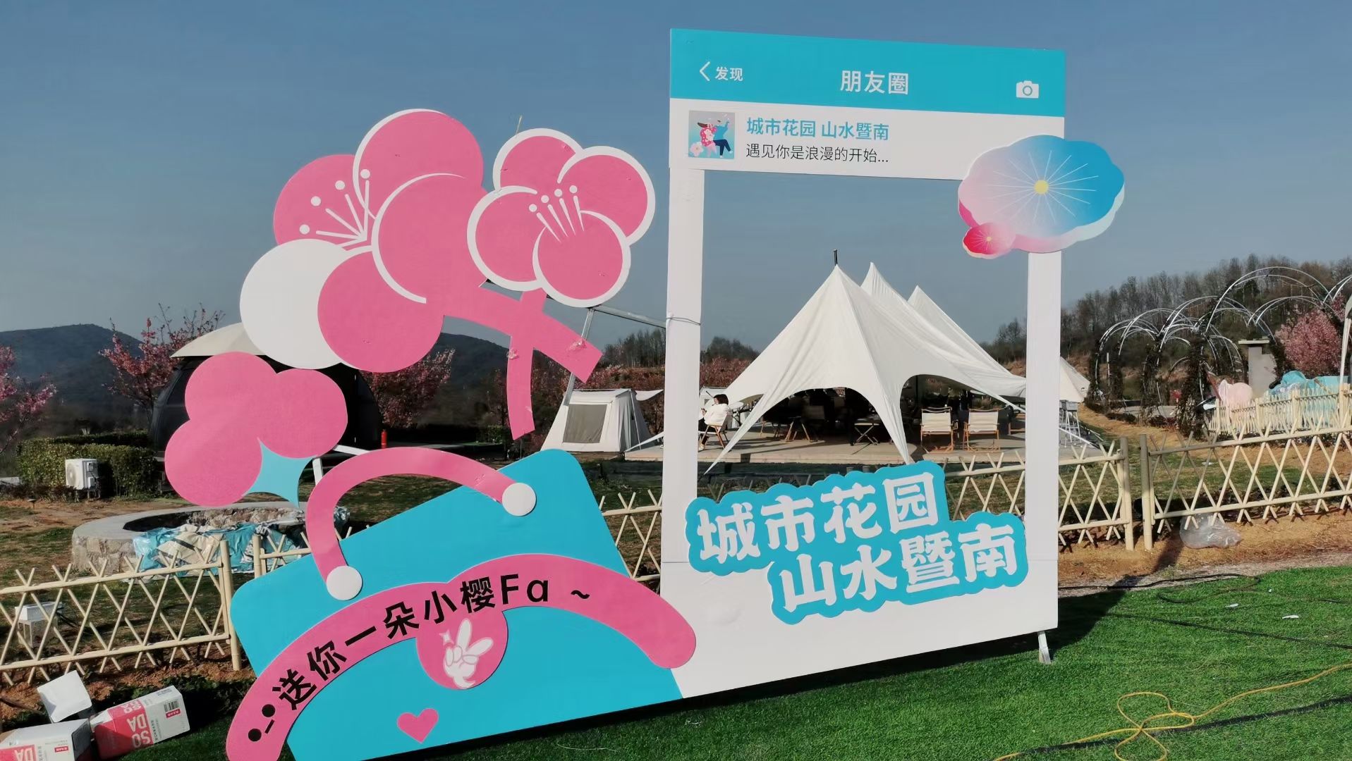 青瓦樱花谷旅行图片 3