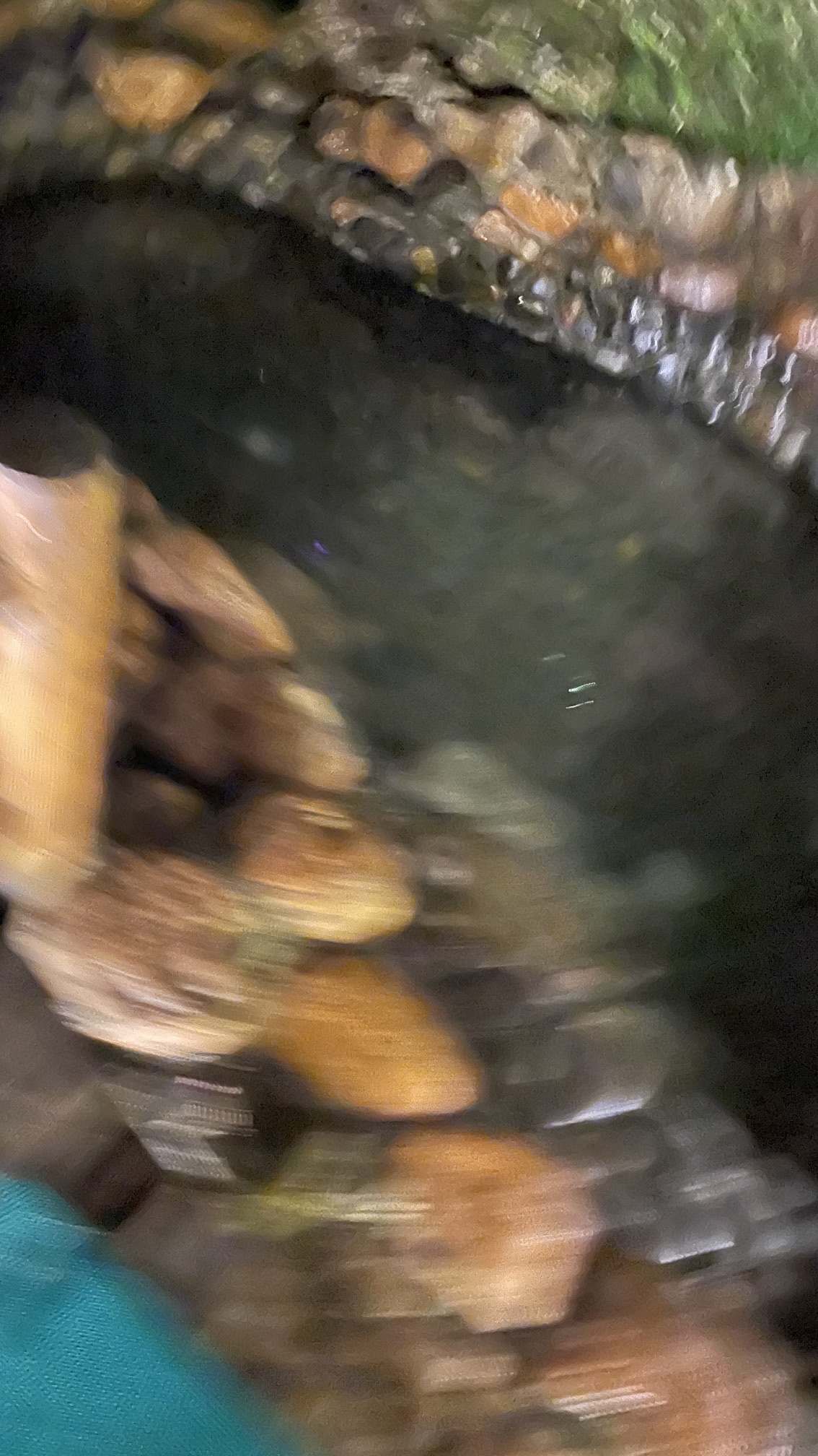 热水寨温泉旅行图片 3