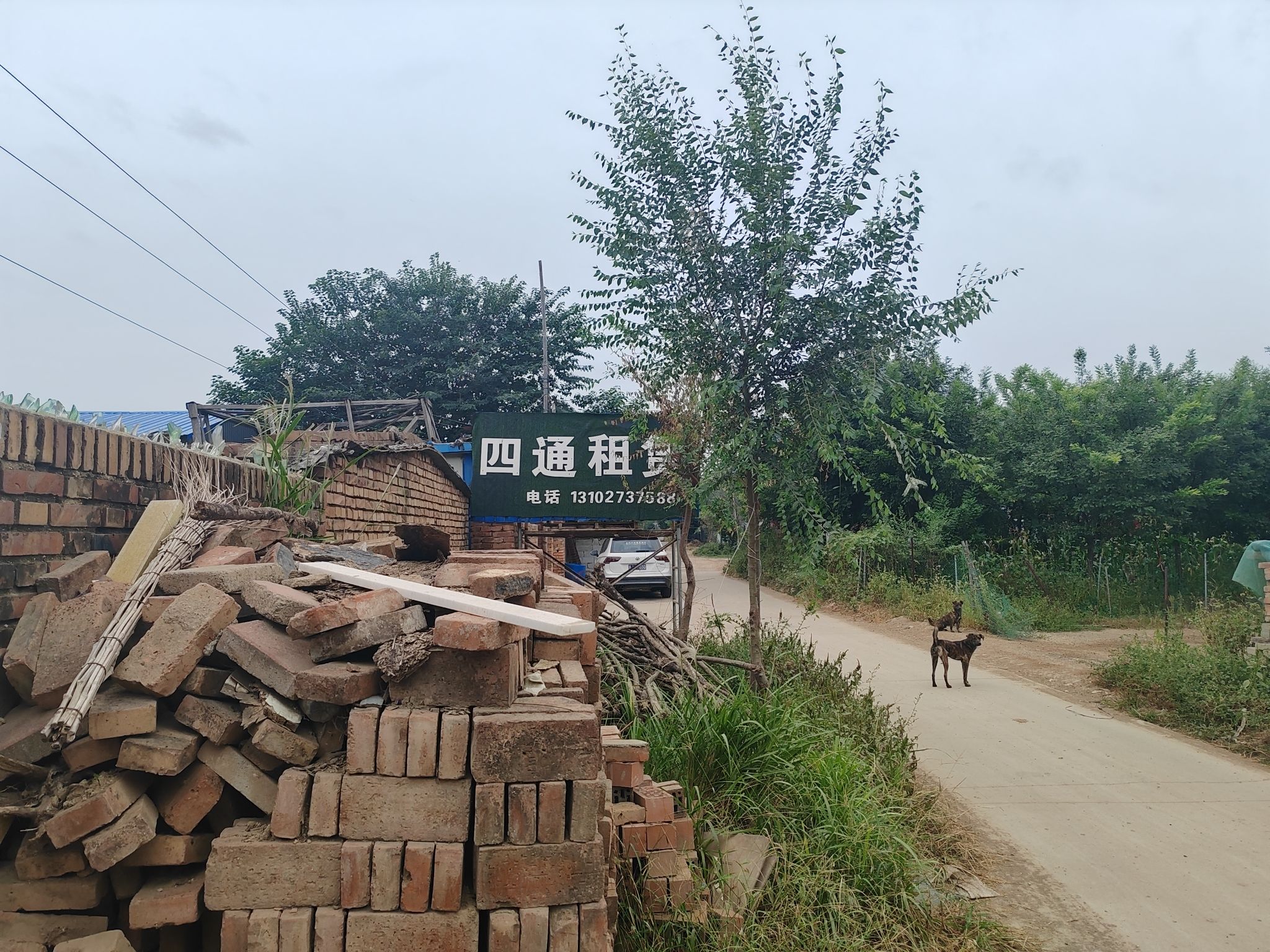 沧州四通建筑器材租赁