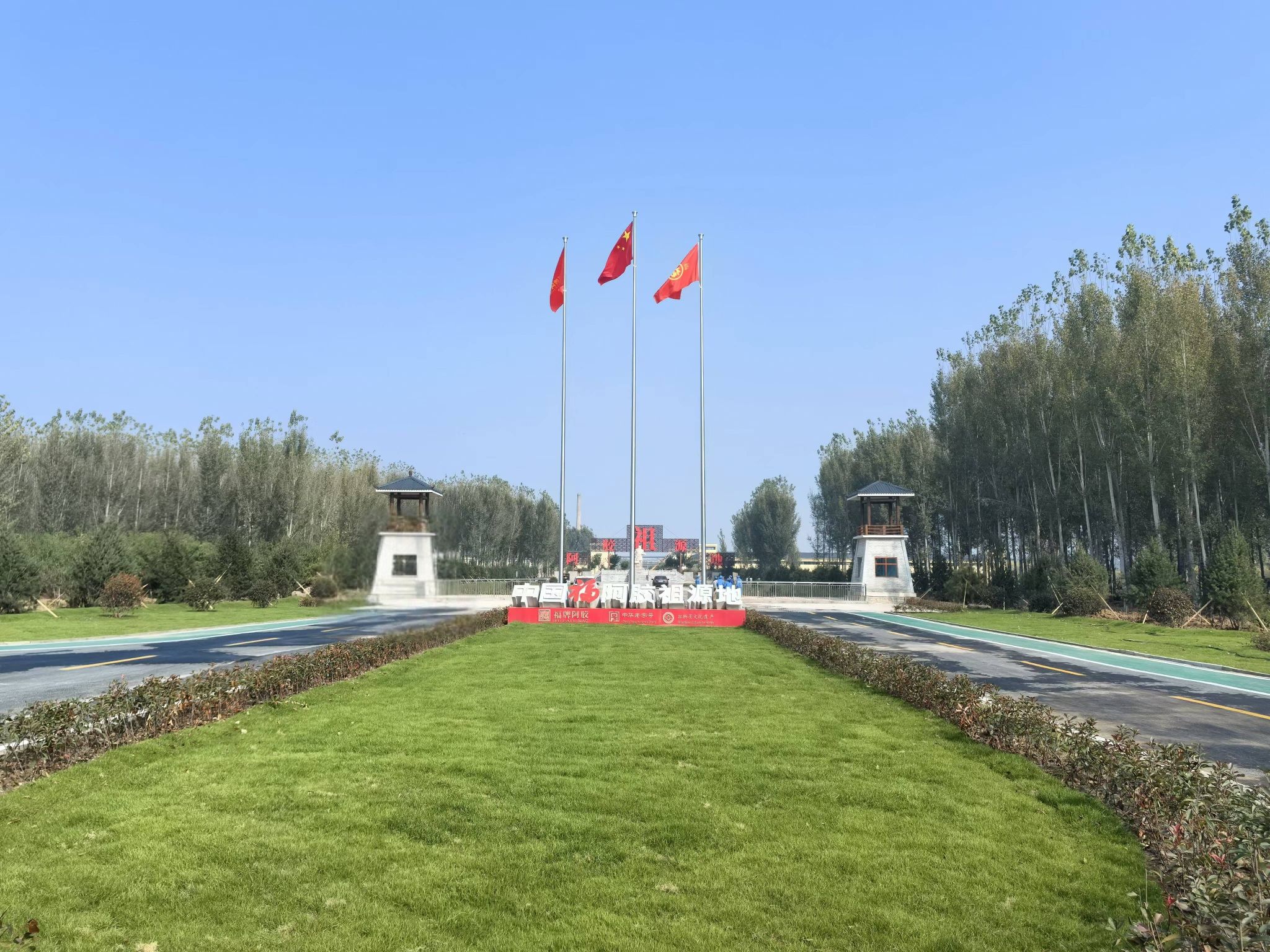 福牌阿胶文化旅游区旅行图片 2