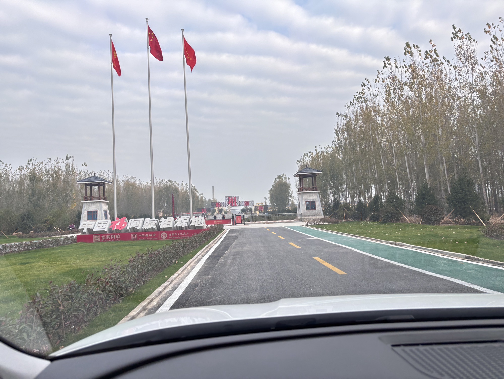 福牌阿胶文化旅游区旅行图片 3