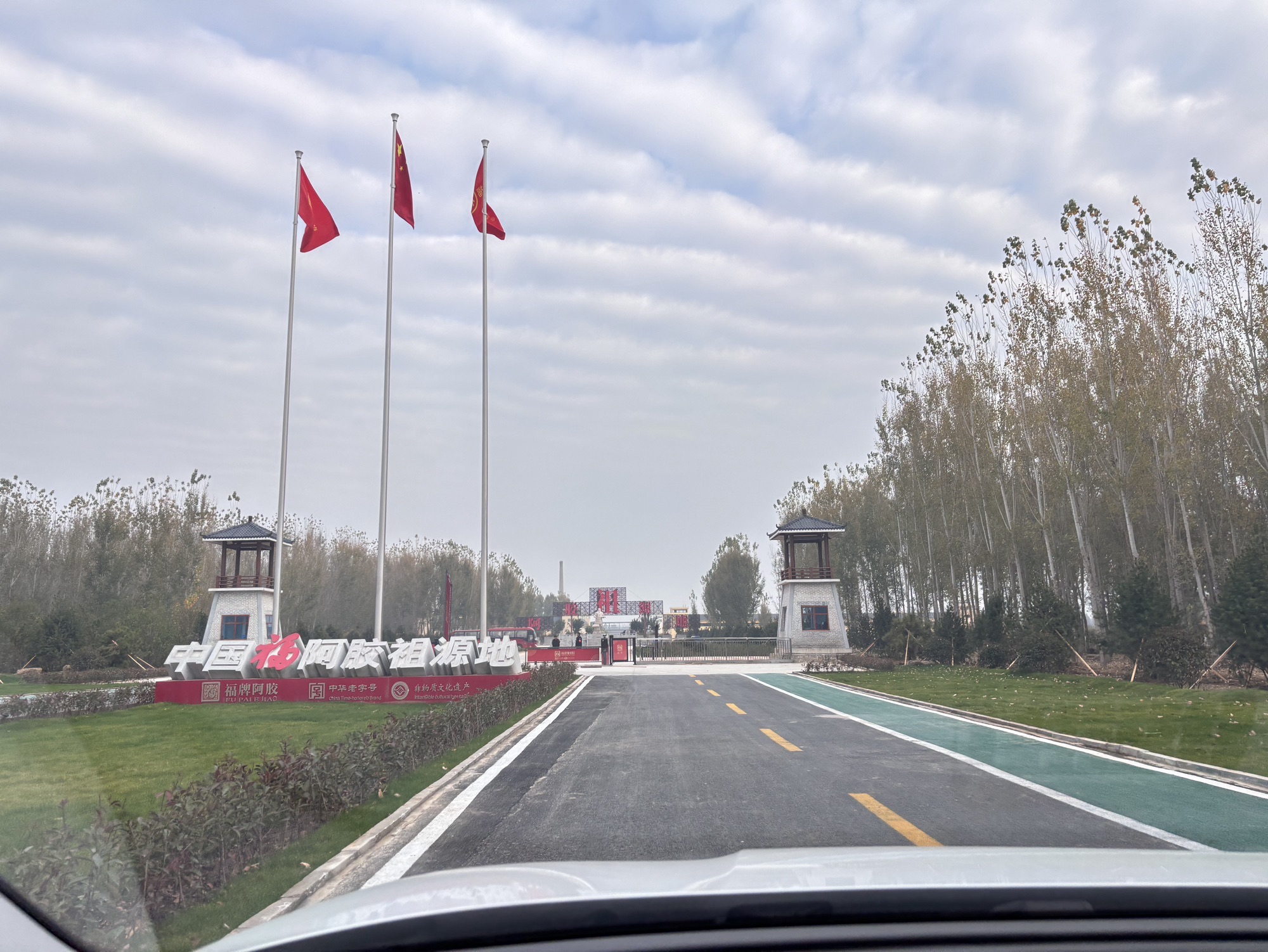 福牌阿胶文化旅游区旅行图片 1