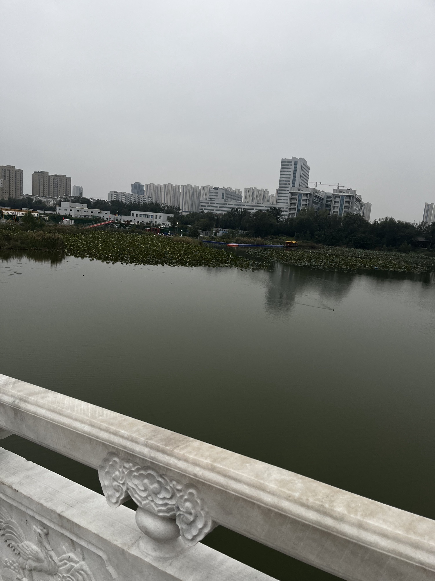 曹州古城十二生肖桥旅行图片 2
