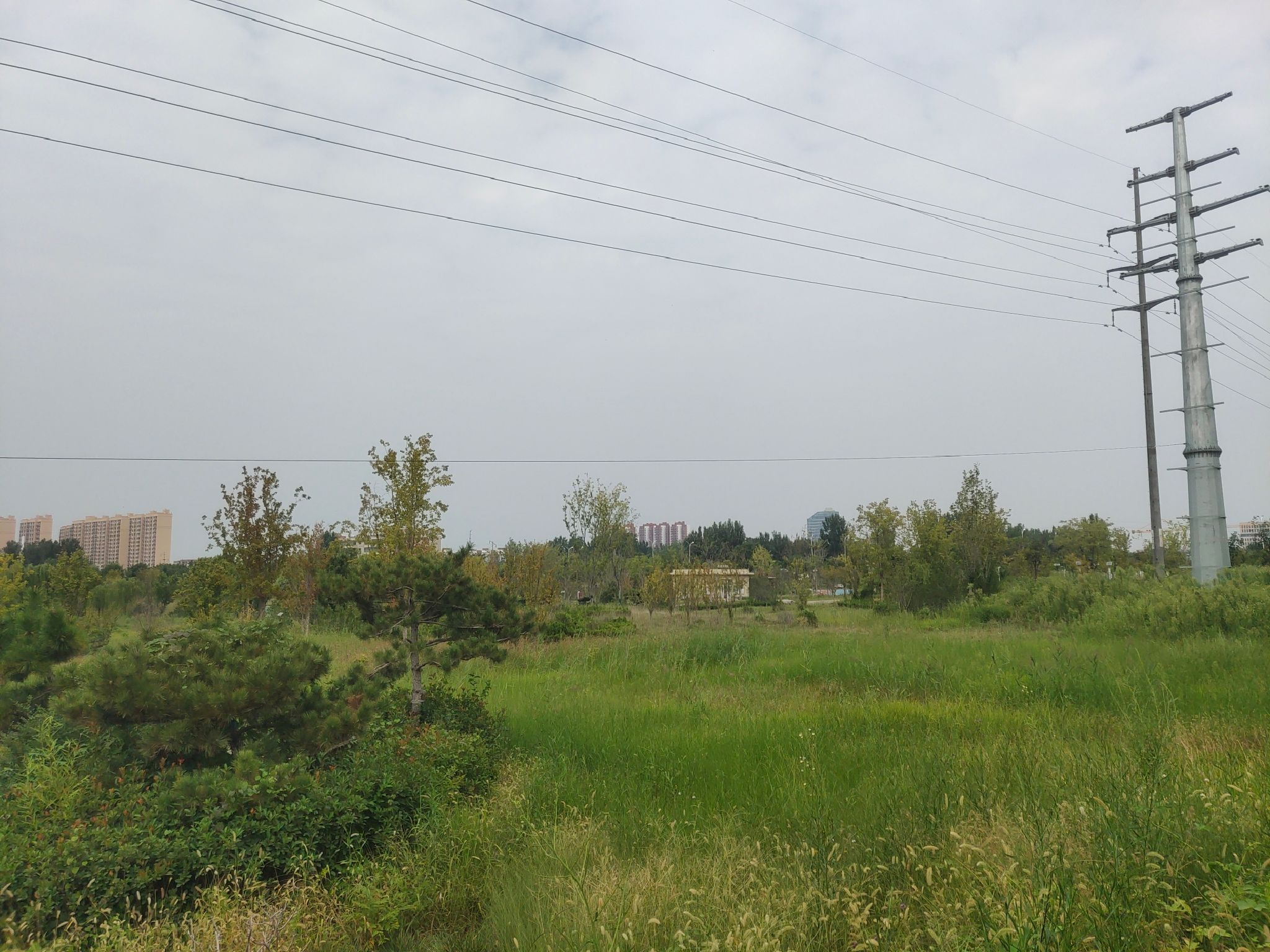 岳渎公园旅行图片 1
