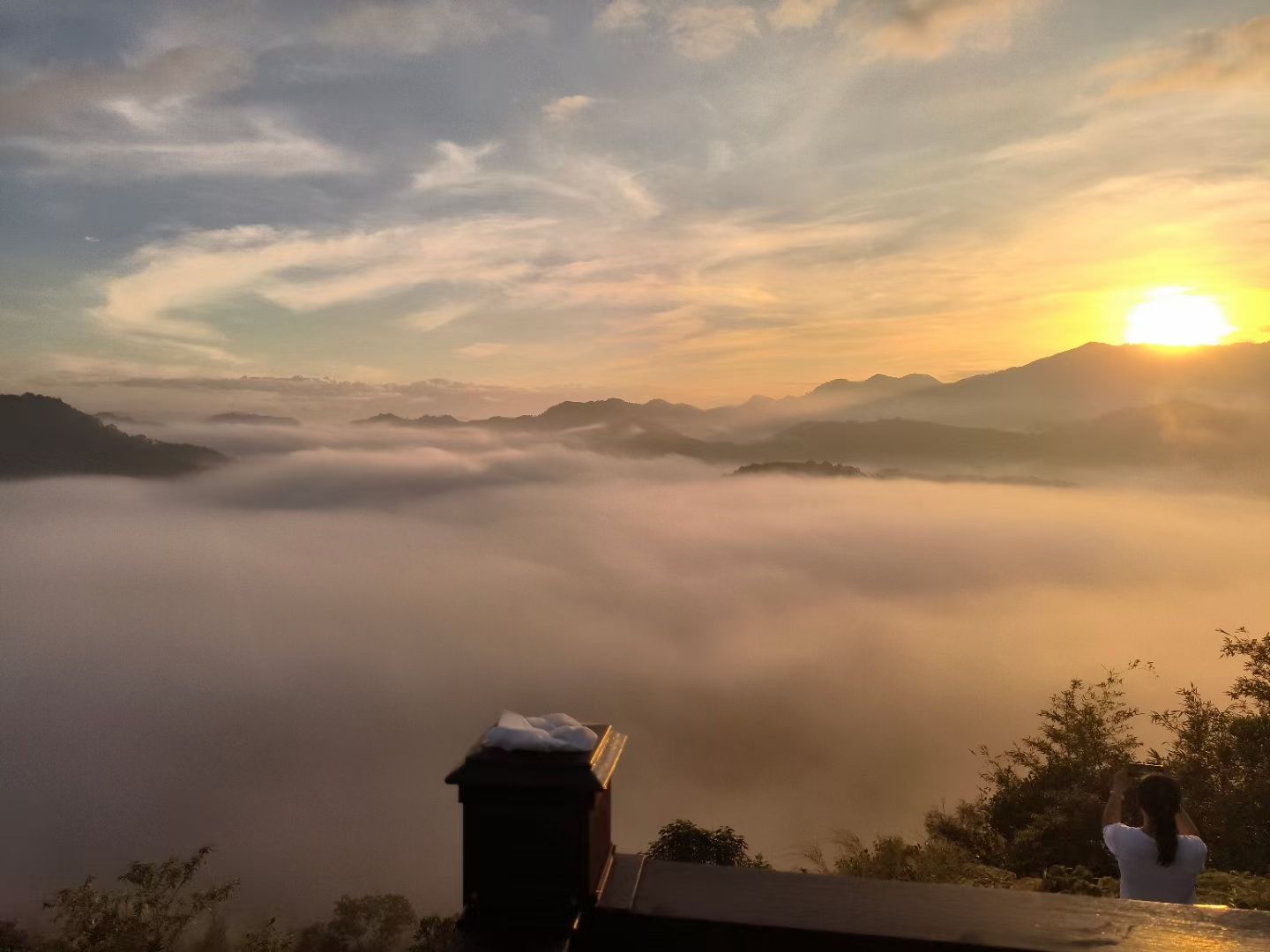 古水河湿地公园旅行图片 1