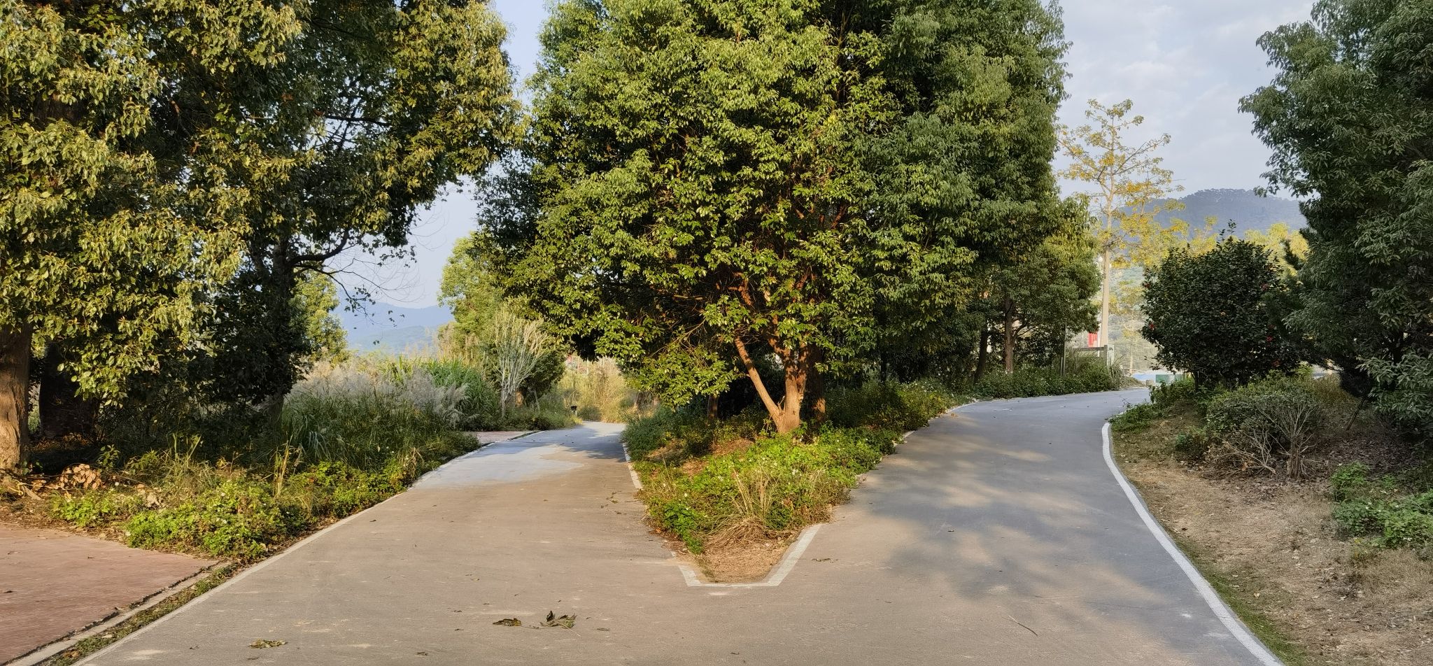 南江滨公园旅行图片 1