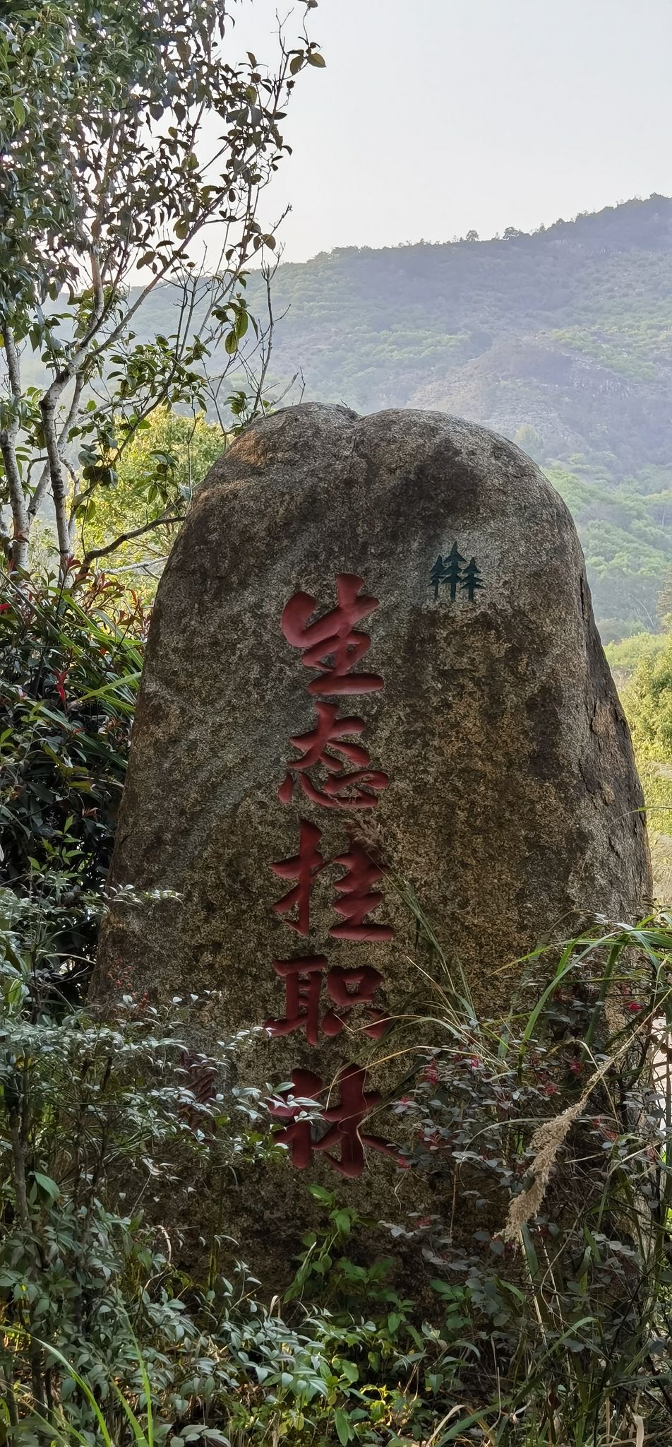 南江滨公园旅行图片 3