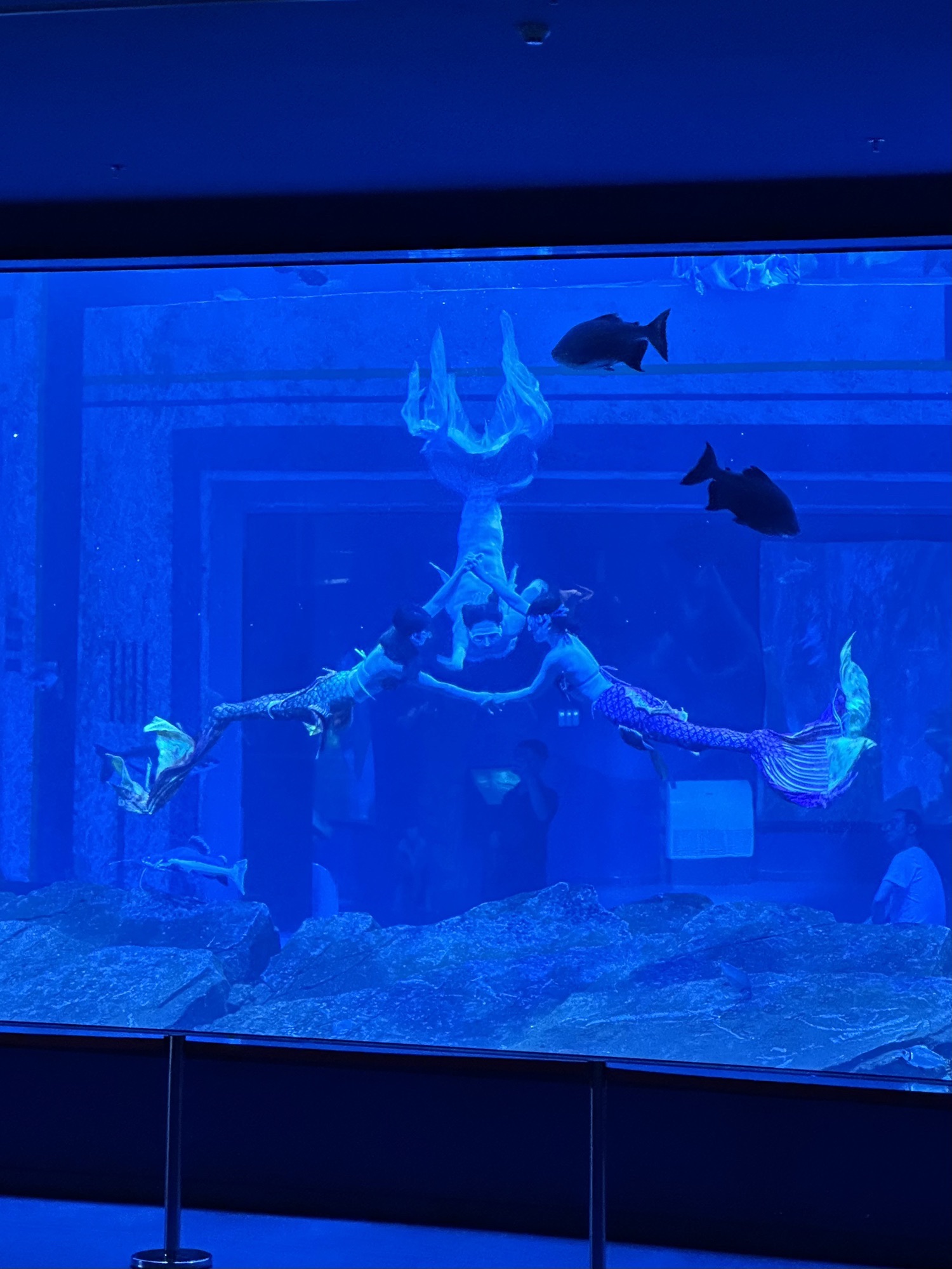 湖口县水族馆旅行图片 1