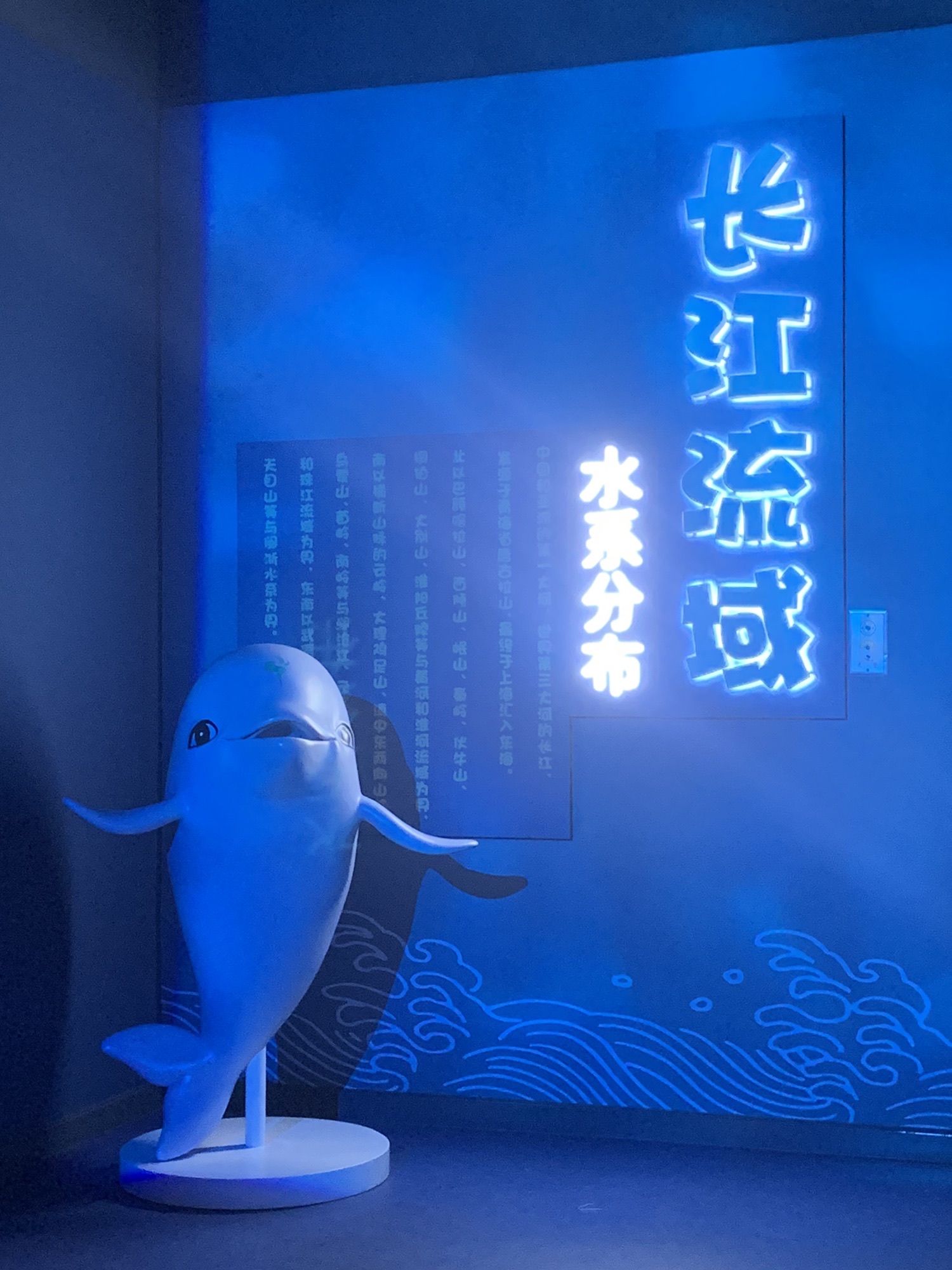 湖口县水族馆旅行图片 2