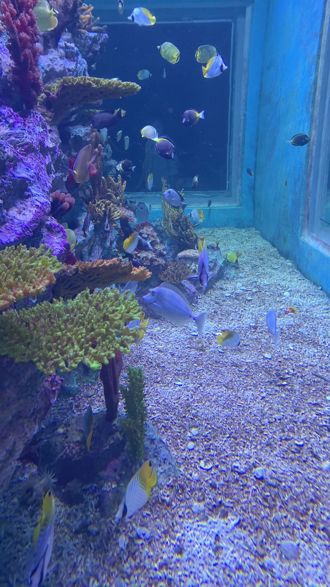 湖口县水族馆旅行图片 1