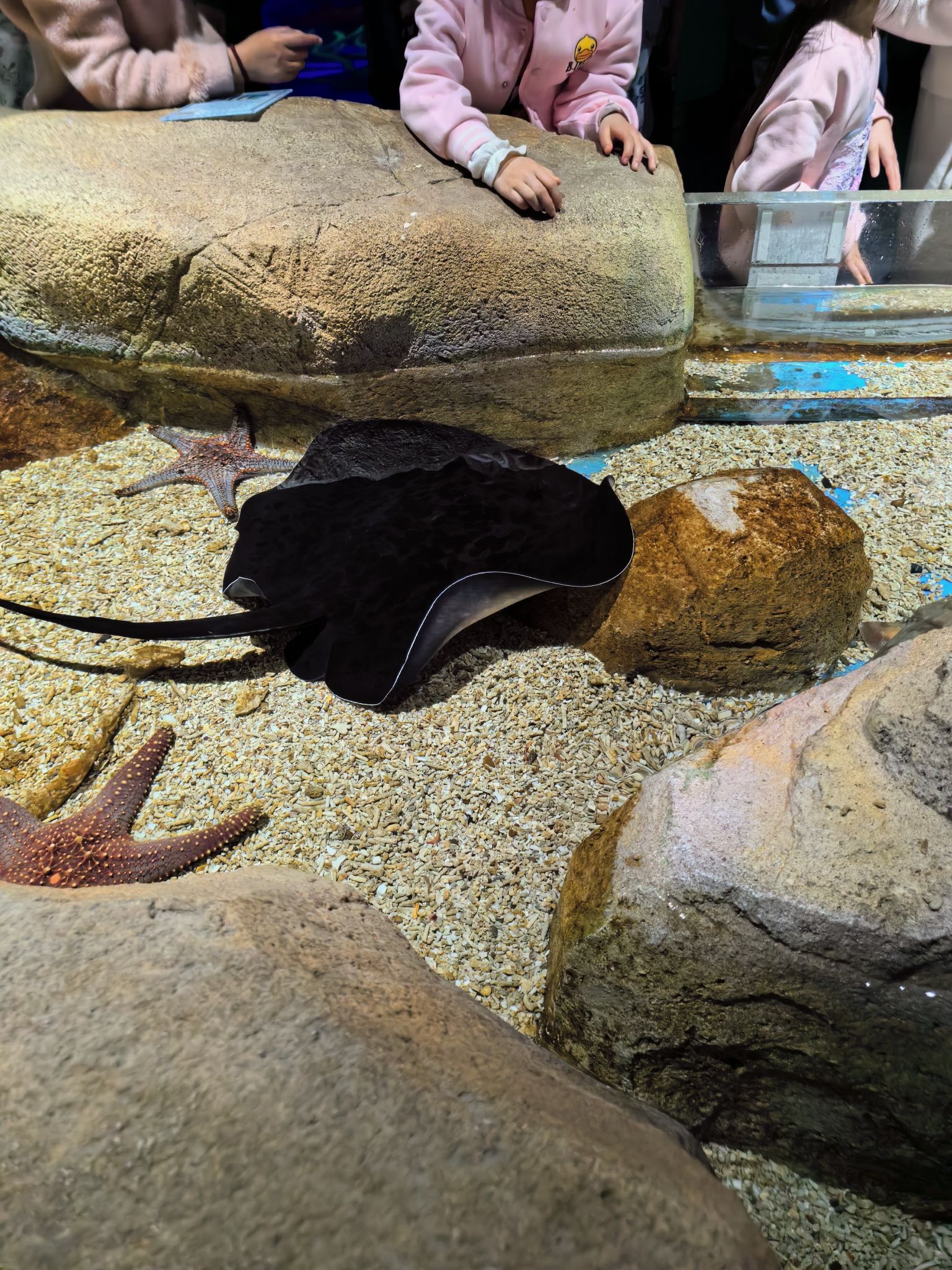 湖口县水族馆旅行图片 2