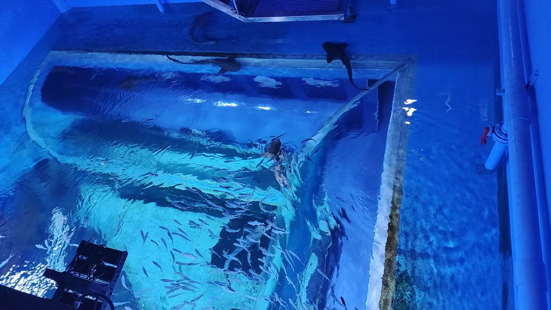 湖口县水族馆旅行图片 3