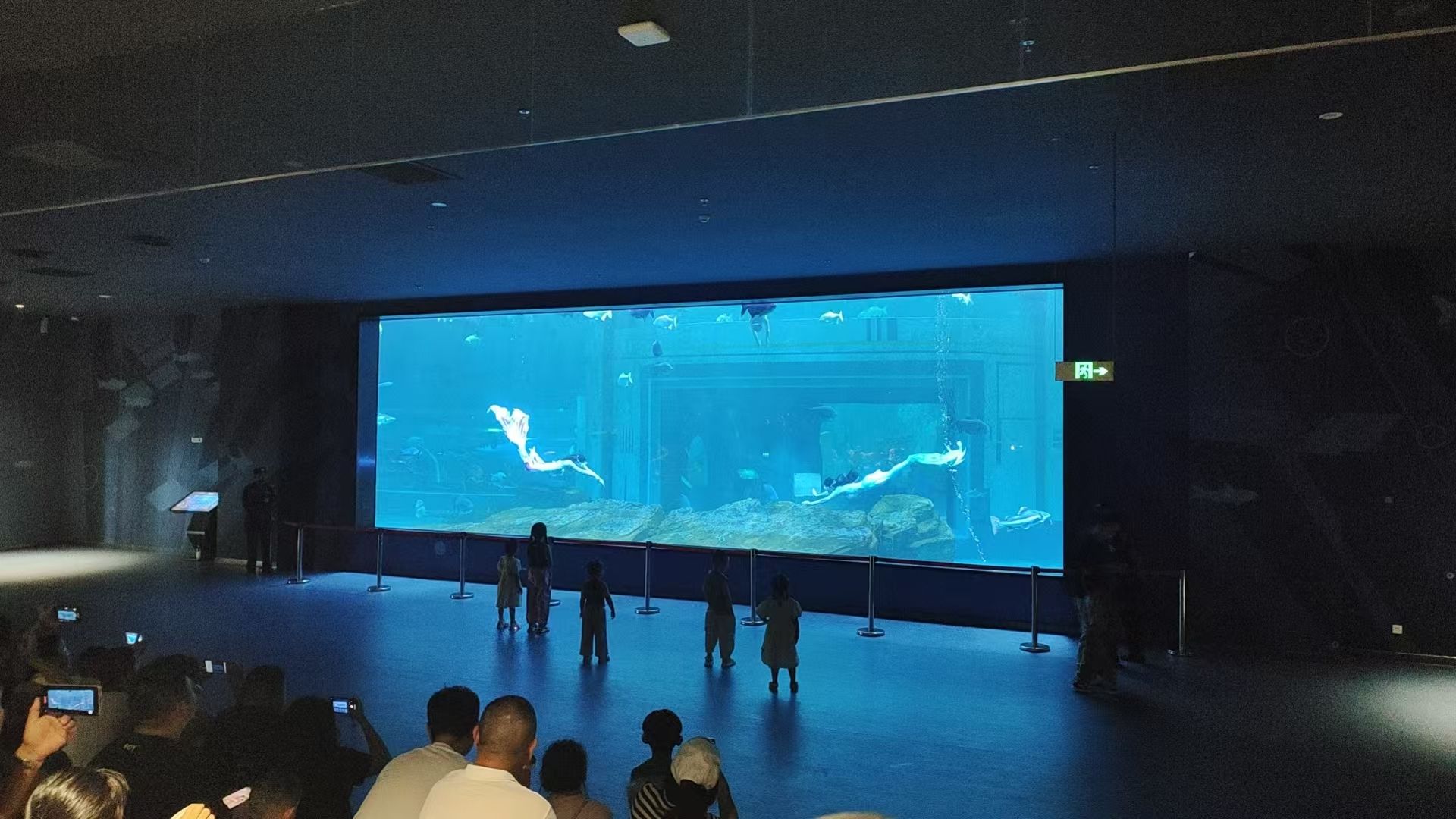 湖口县水族馆旅行图片 2