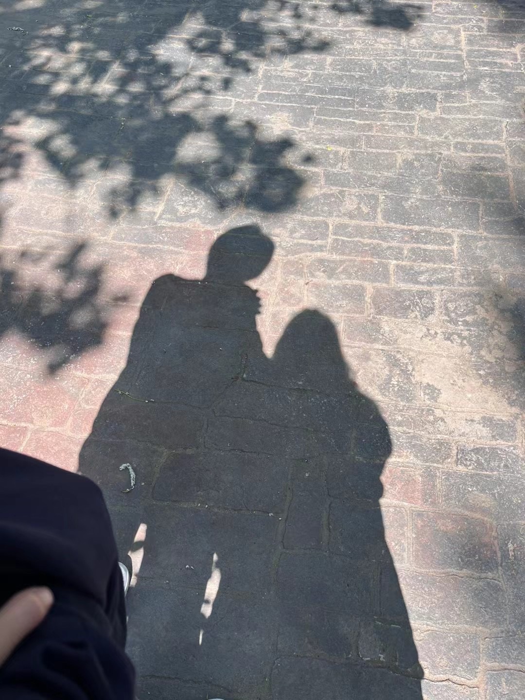 隋唐洛阳城天街遗址旅行图片 2
