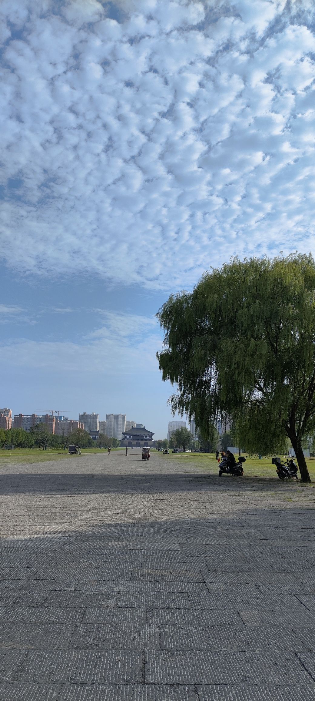 隋唐洛阳城天街遗址旅行图片 1