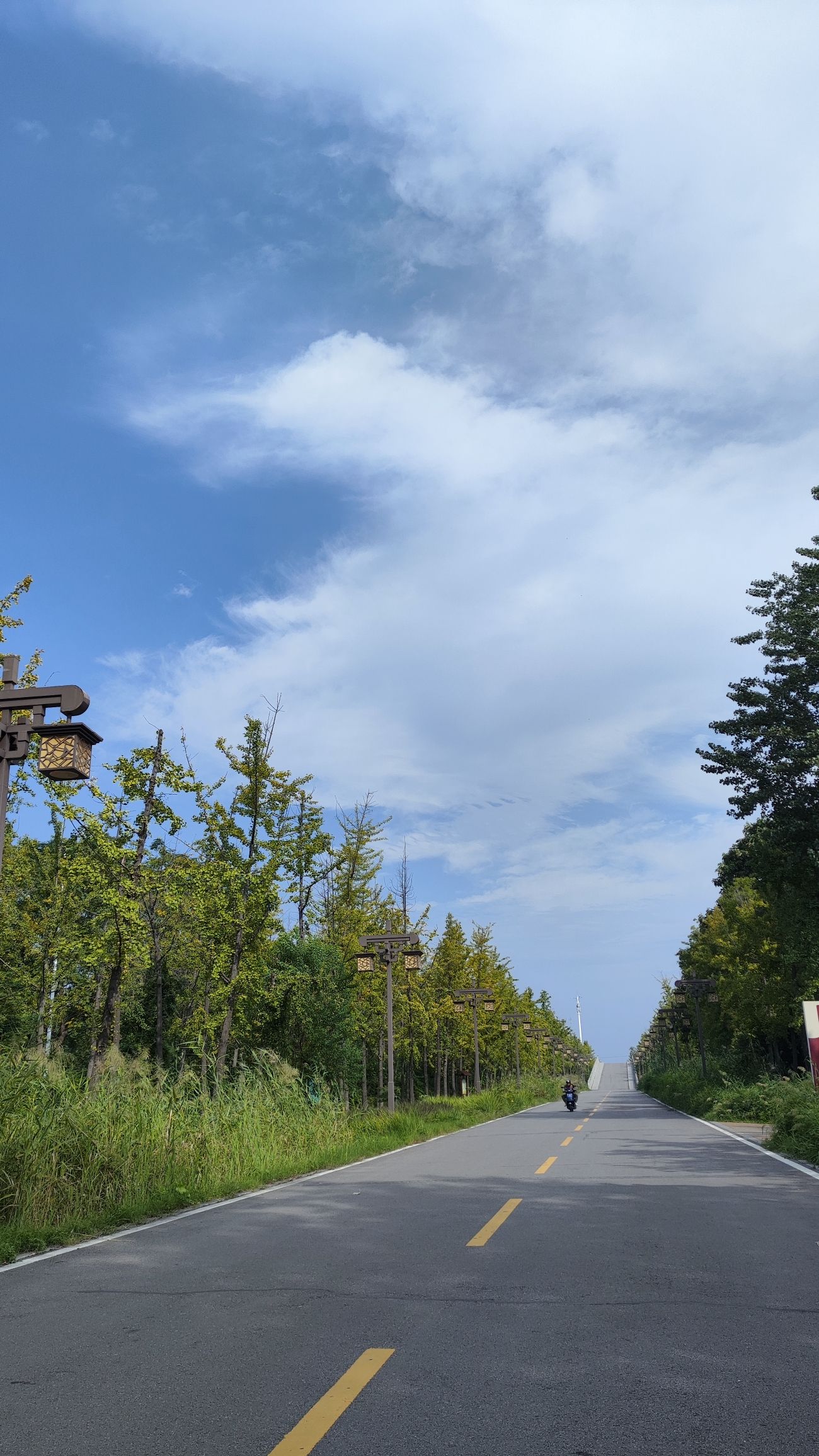 隋唐洛阳城天街遗址旅行图片 2