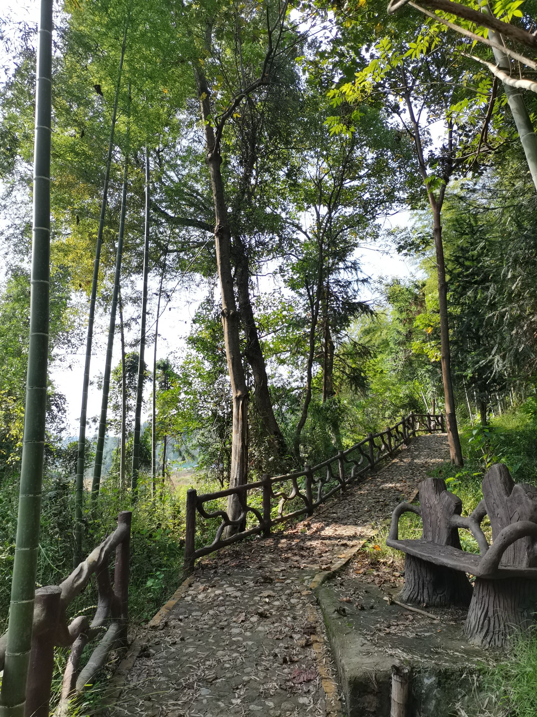 石龙江徒步景区旅行图片 1