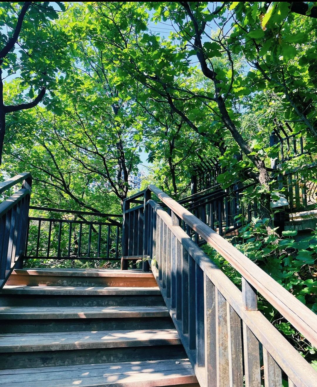 山体公园旅行图片 3