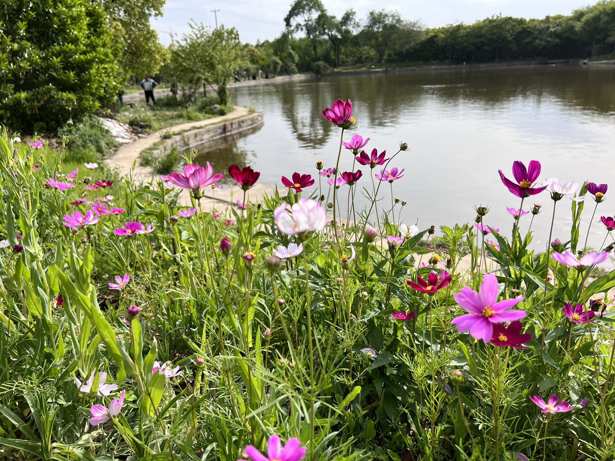 上海华亭路亚垂钓园