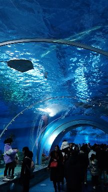 沭阳海洋馆(建设中)旅行图片 3