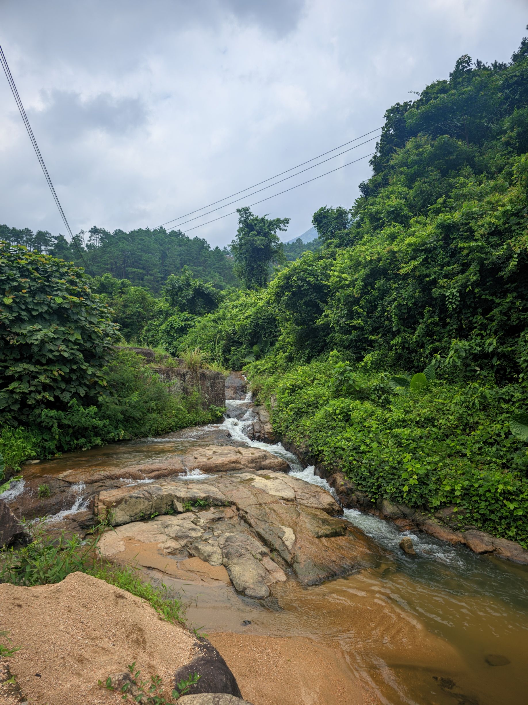 佛荔花海休闲旅游区旅行图片 2