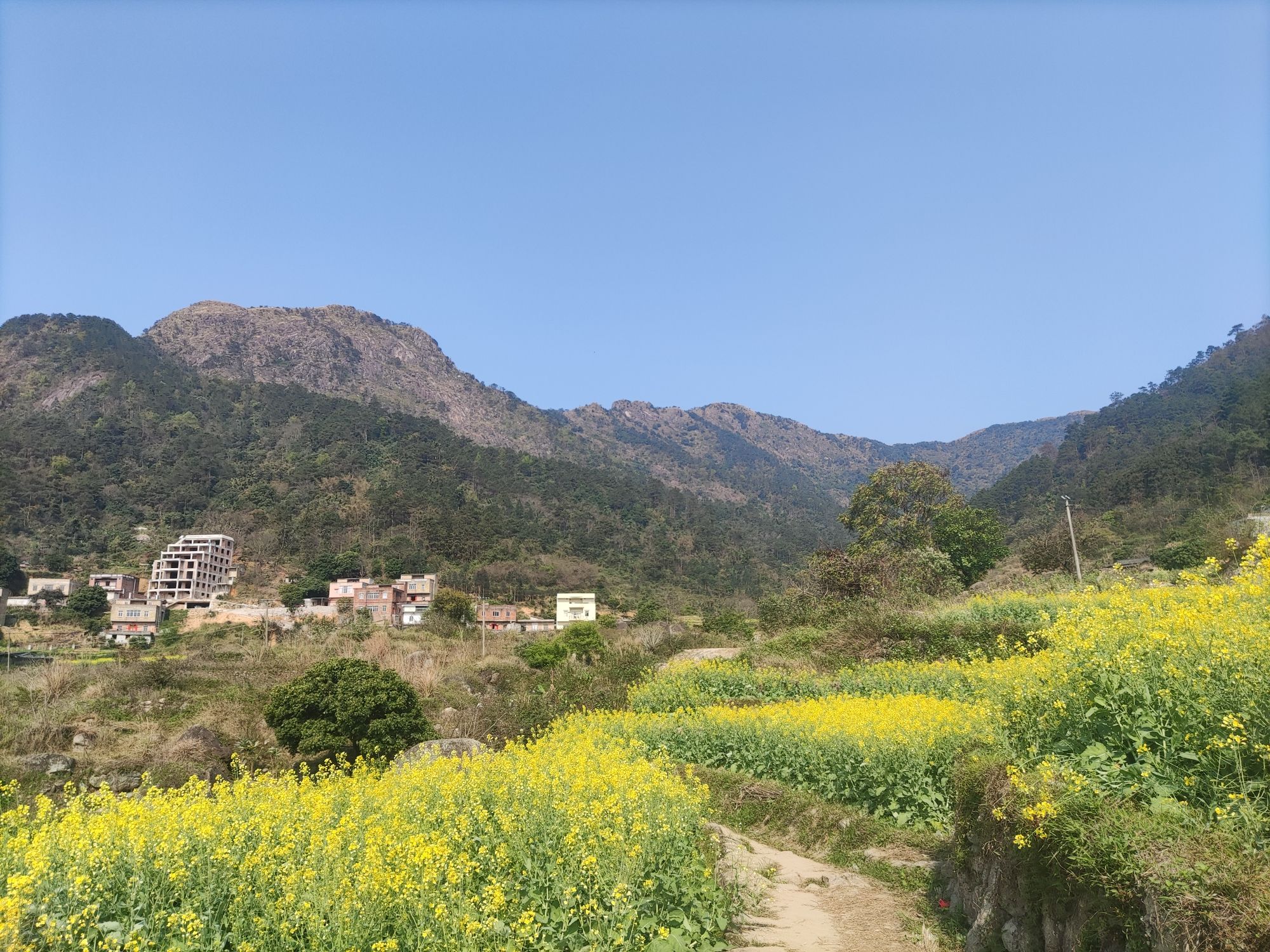 佛荔花海休闲旅游区旅行图片 1