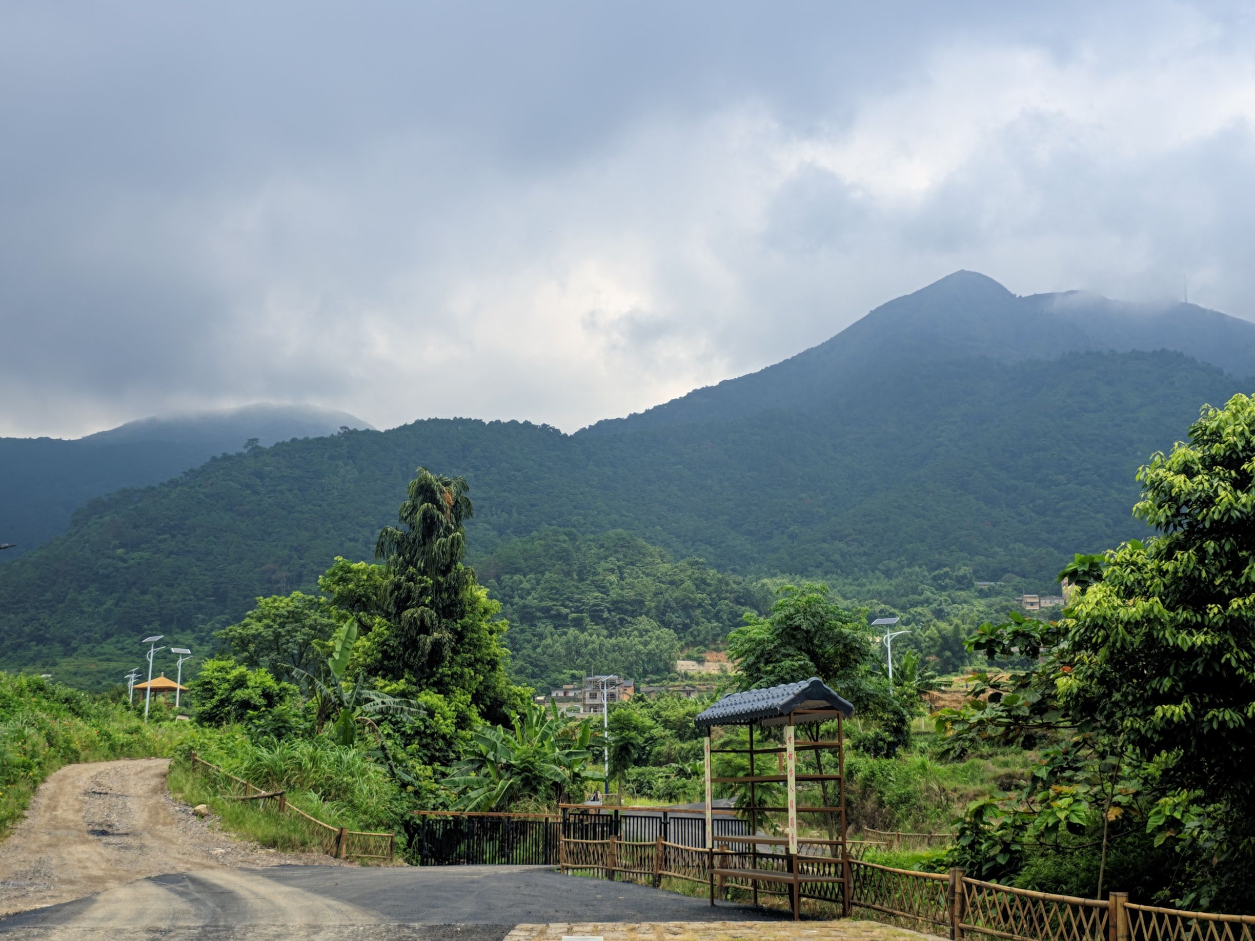 佛荔花海休闲旅游区旅行图片 3