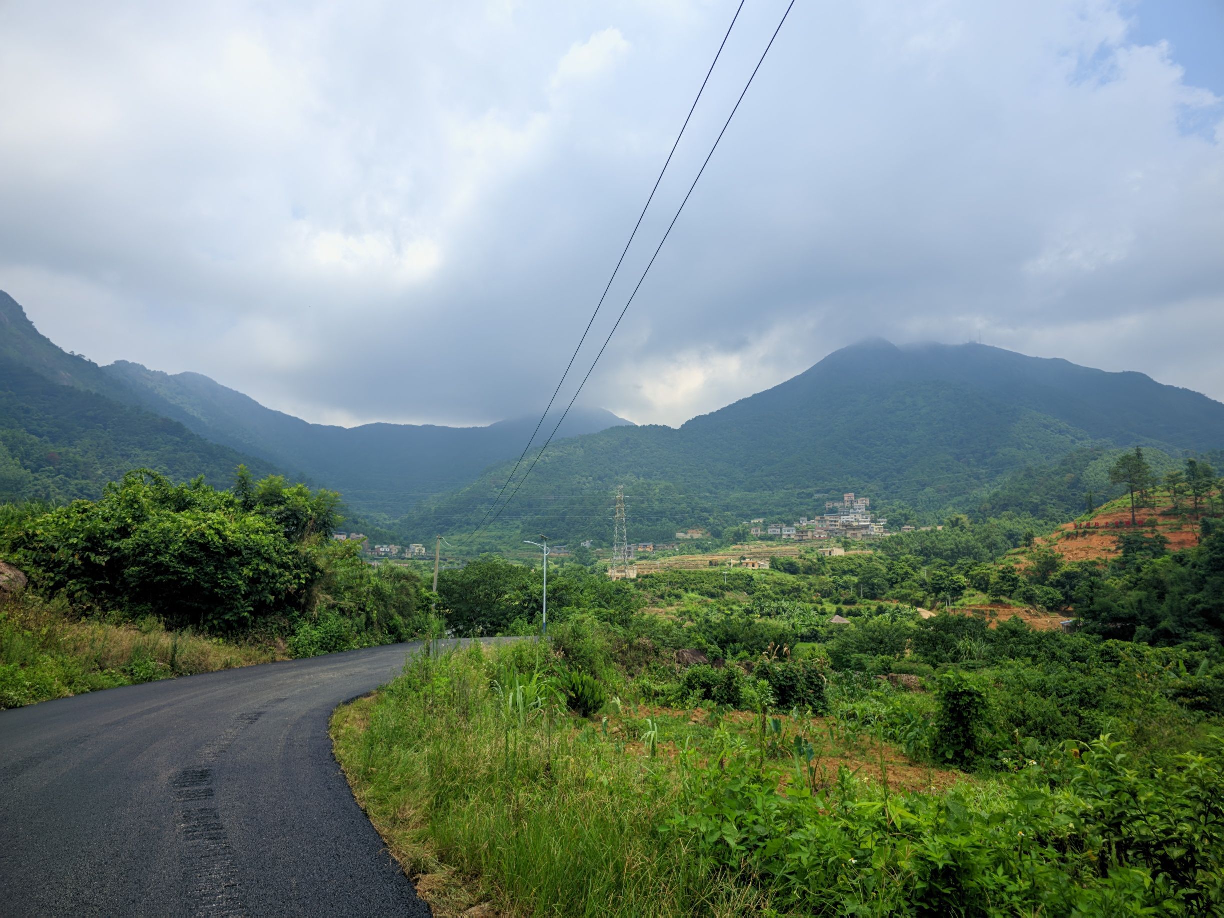 佛荔花海休闲旅游区旅行图片 1