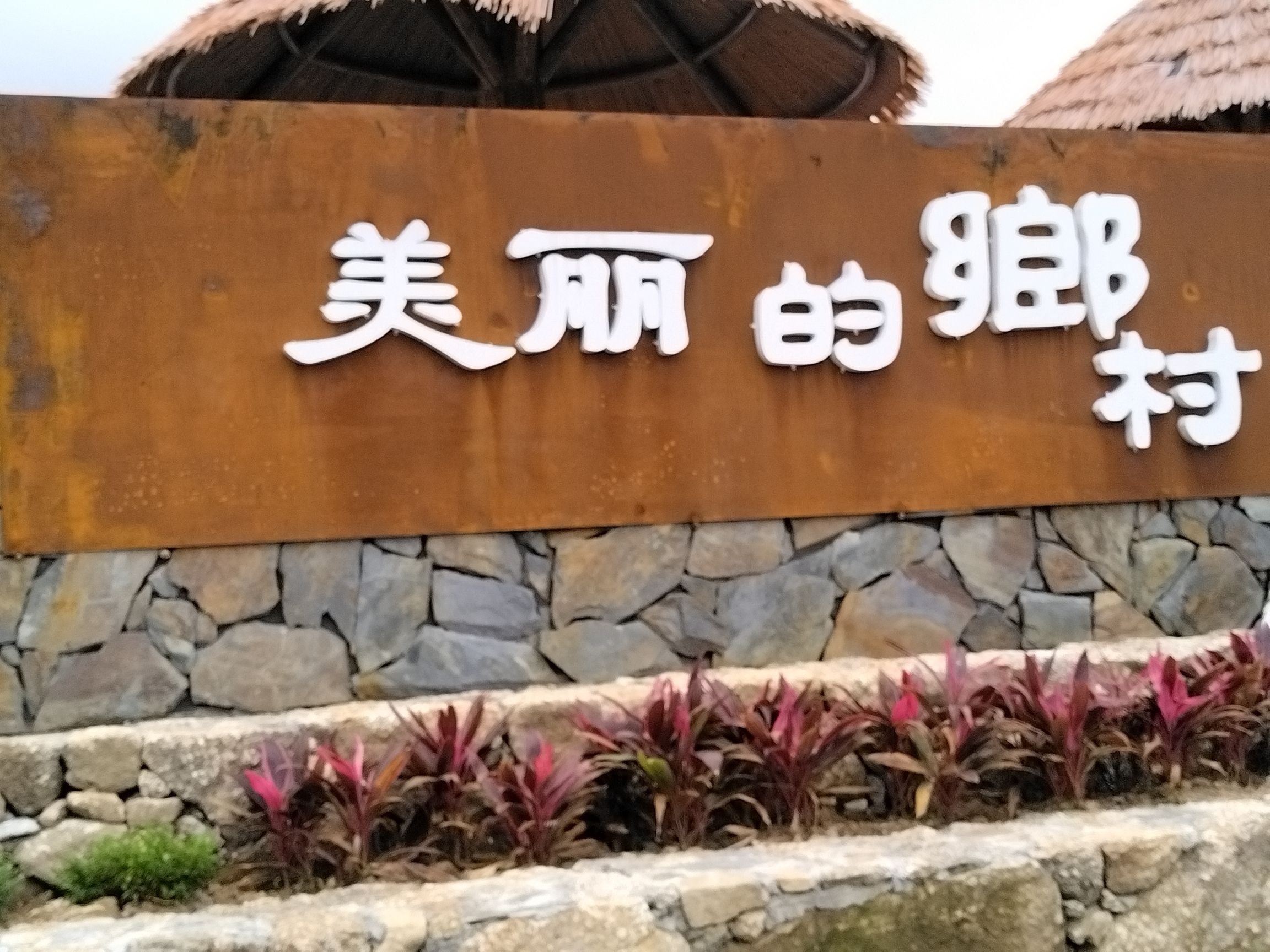 佛荔花海休闲旅游区旅行图片 3