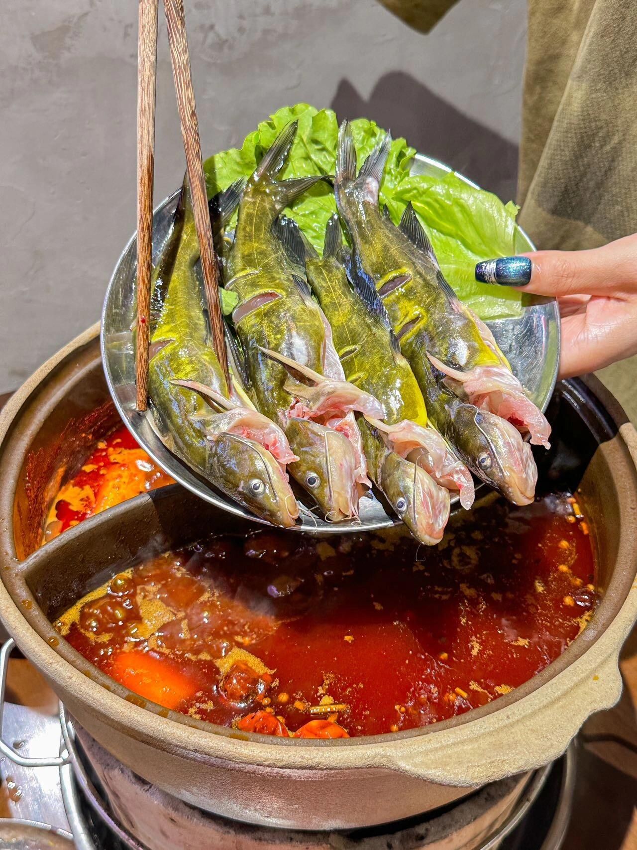 炭探叹·炭火老火锅·烧烤露营·深夜食堂(杭州新天地店)
