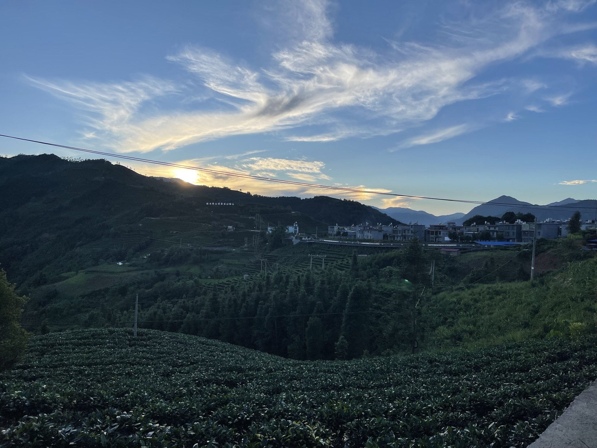 马鹿塘万亩茶园观光区