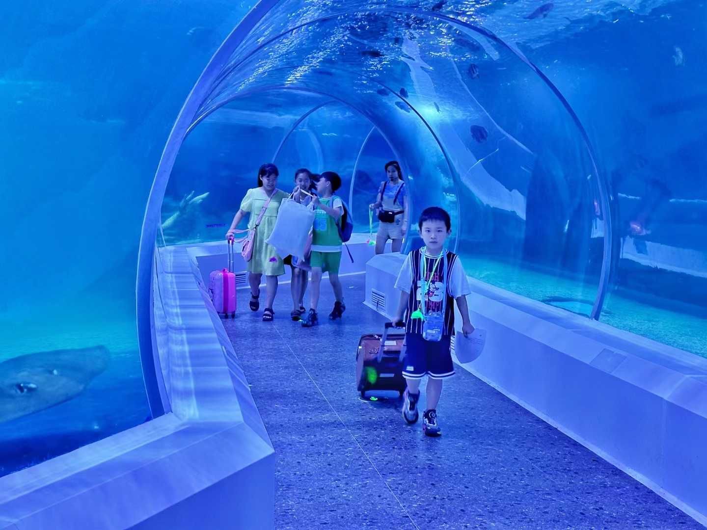 自贡海洋世界旅行图片 2