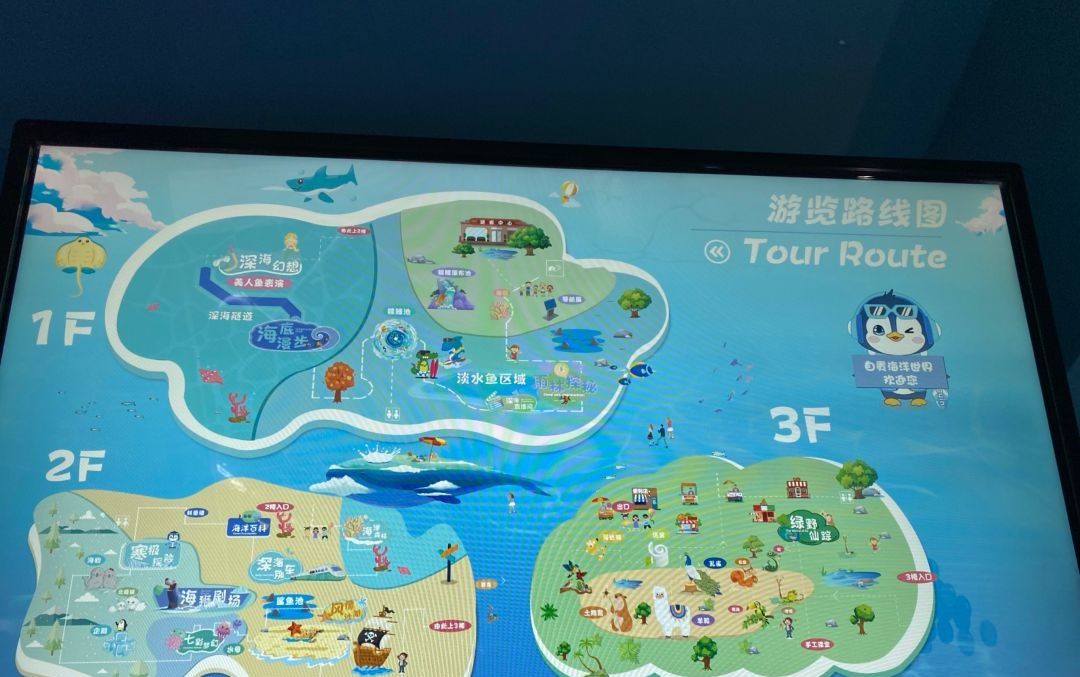 自贡海洋世界旅行图片 2