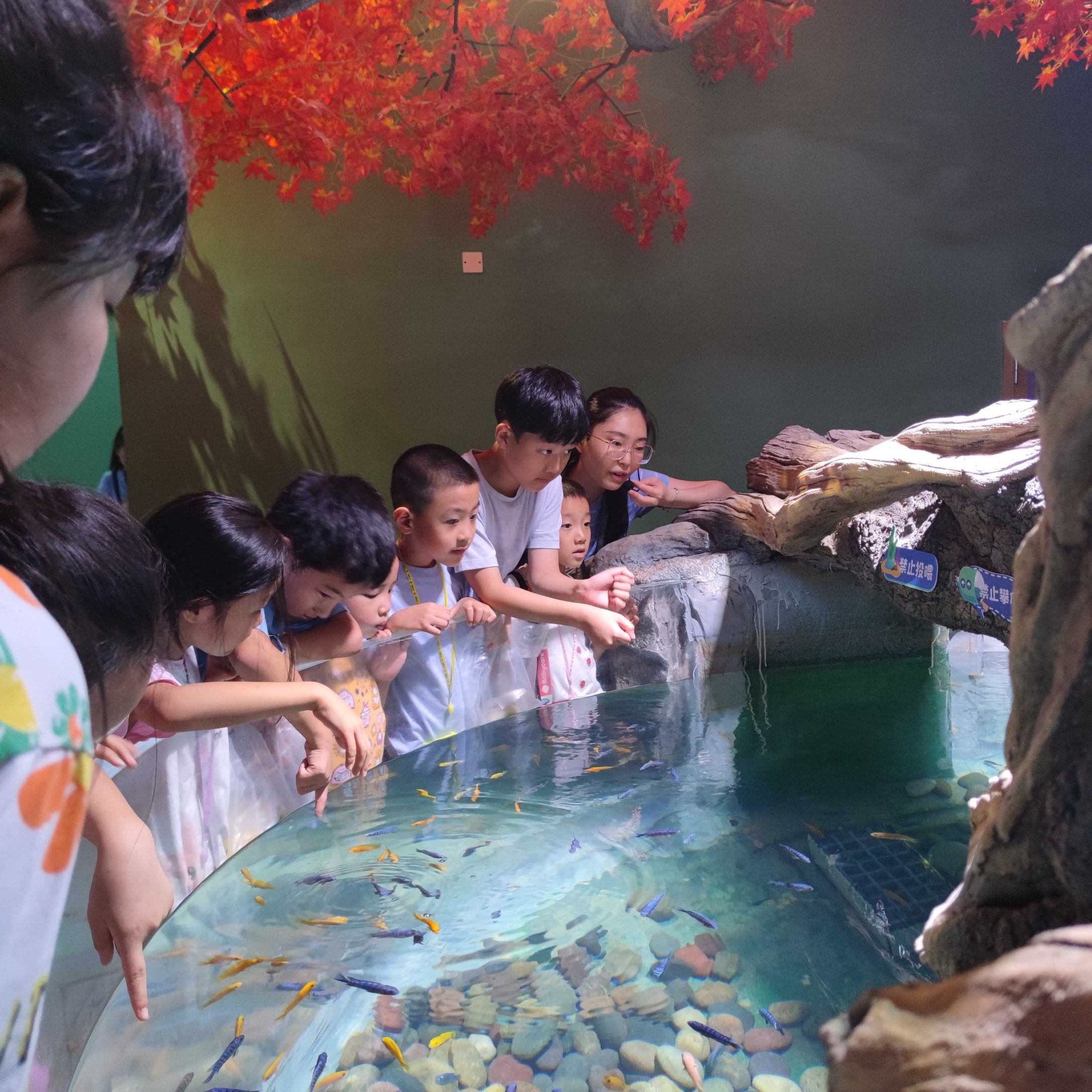 自贡海洋世界旅行图片 1