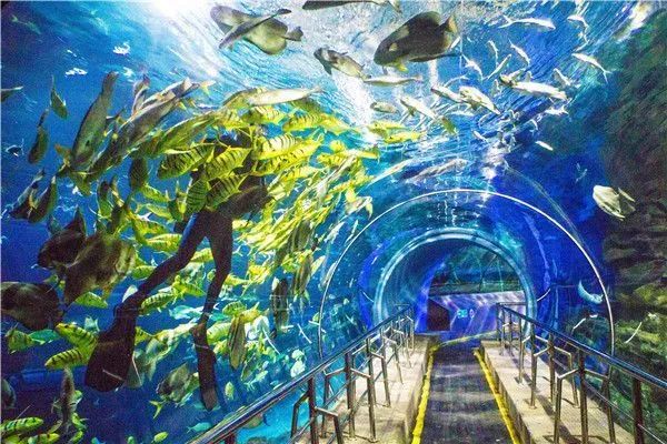自贡海洋世界旅行图片 1