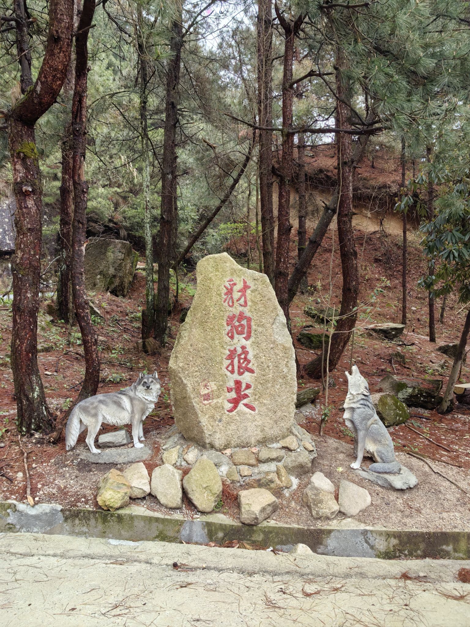 豺狗狼尖旅行图片 1