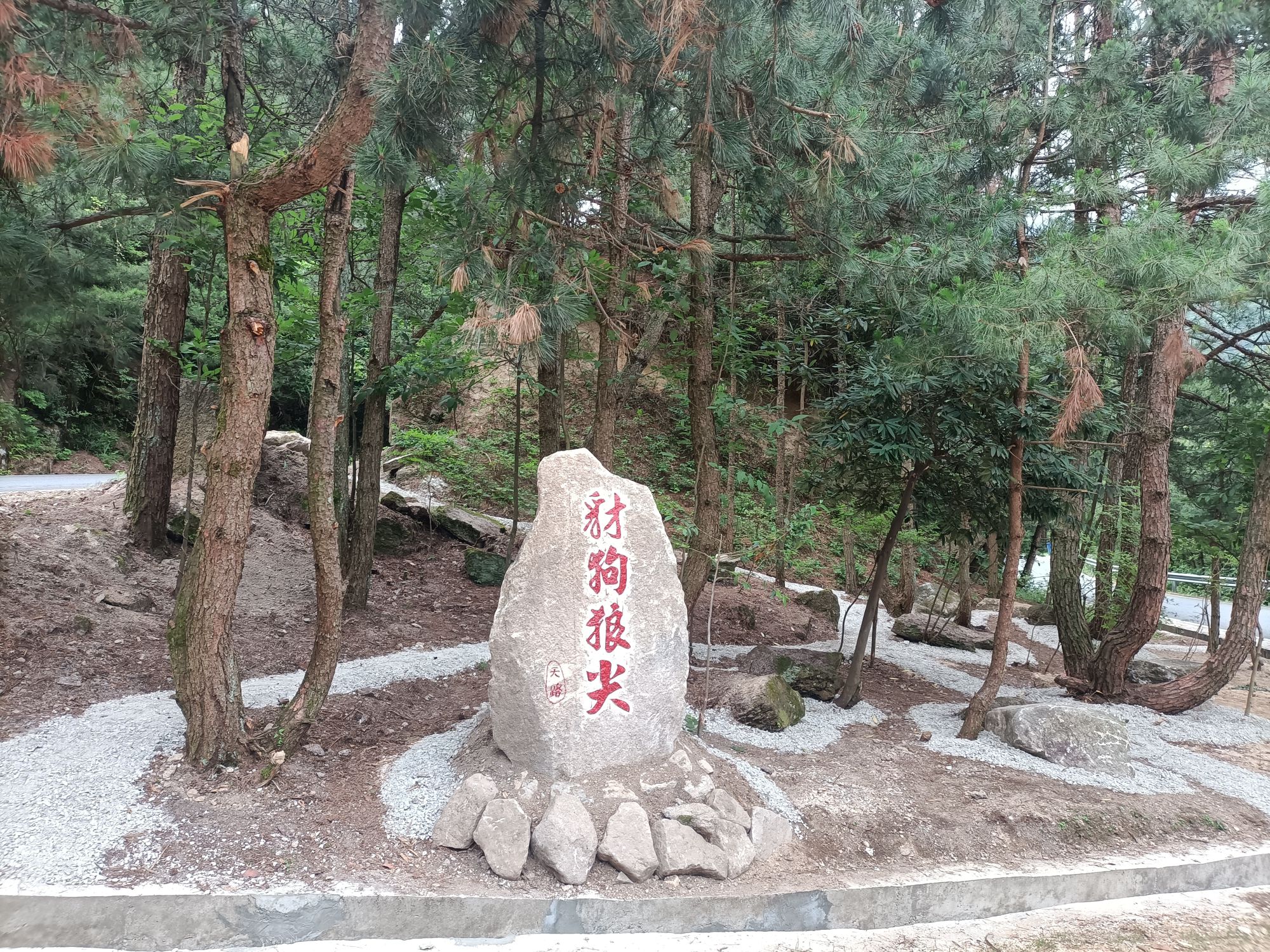 豺狗狼尖旅行图片 1