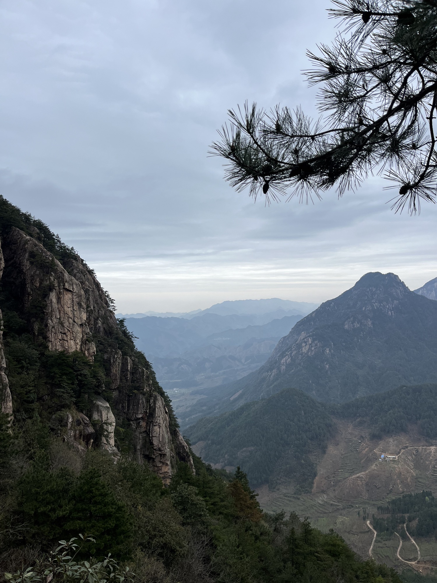 豺狗狼尖旅行图片 3