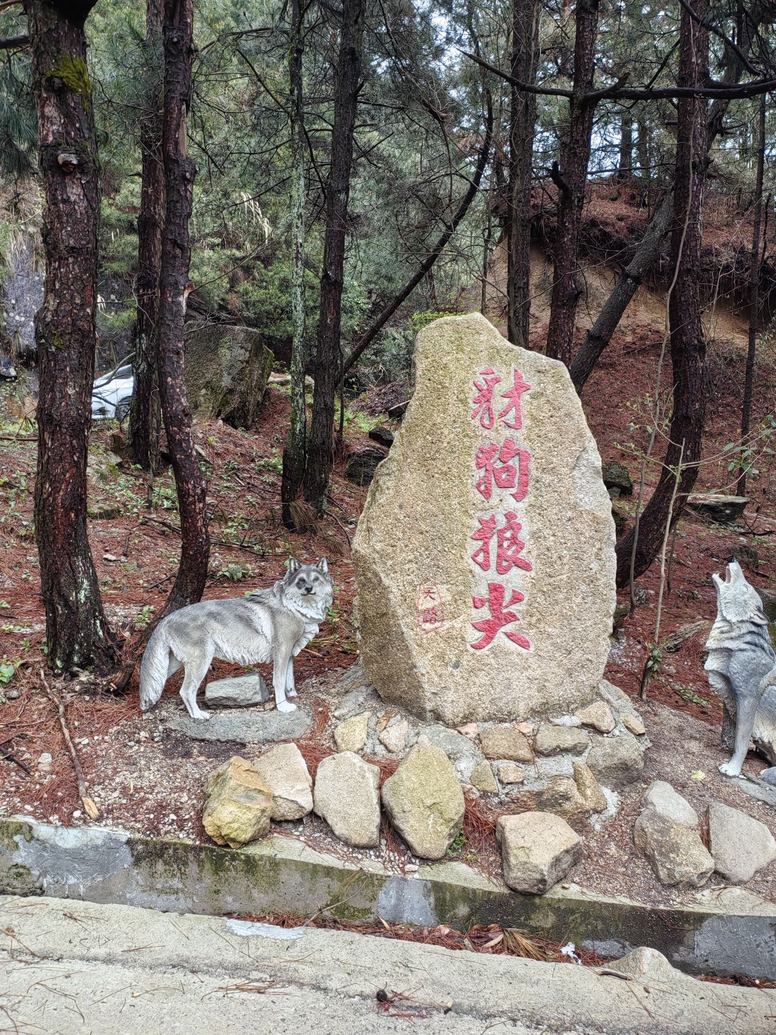 豺狗狼尖旅行图片 1