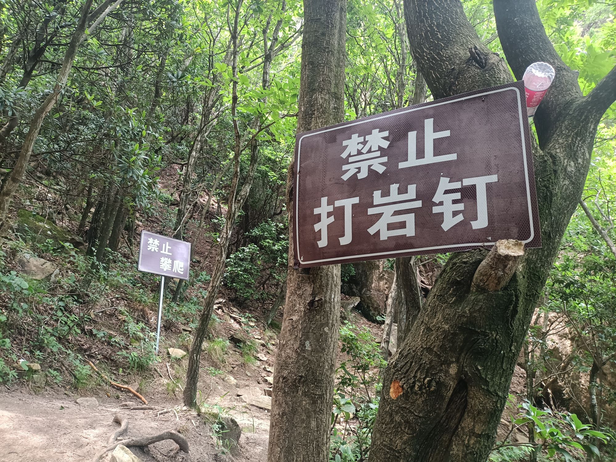 豺狗狼尖旅行图片 3