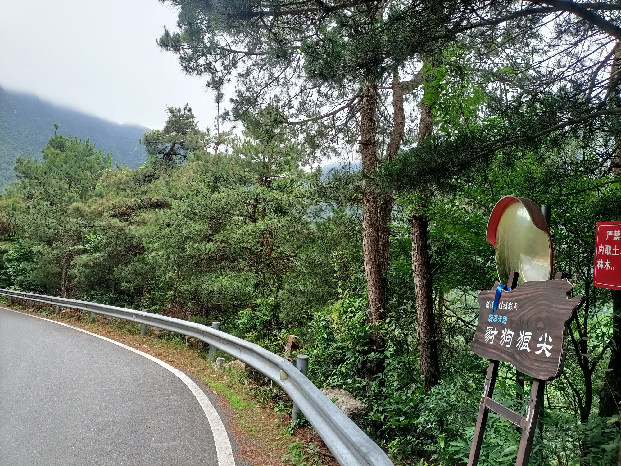豺狗狼尖旅行图片 2