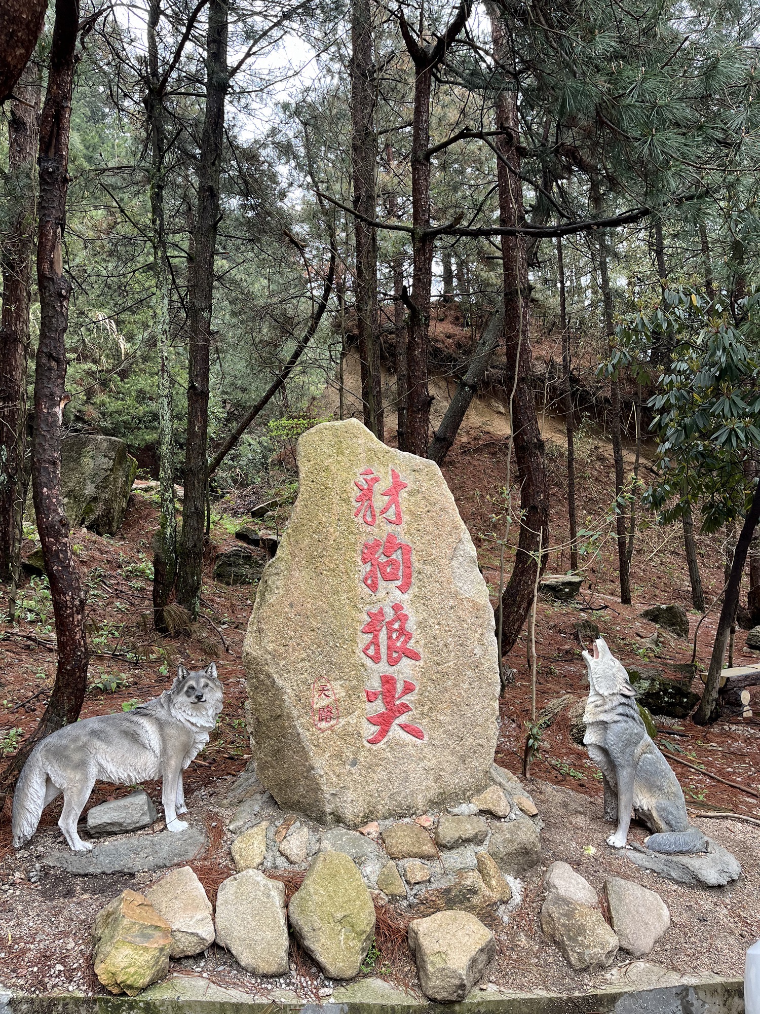 豺狗狼尖旅行图片 1