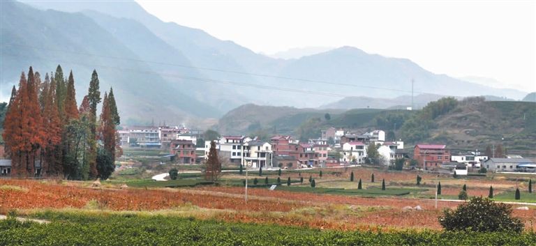 白水脚瀑布旅行图片 2