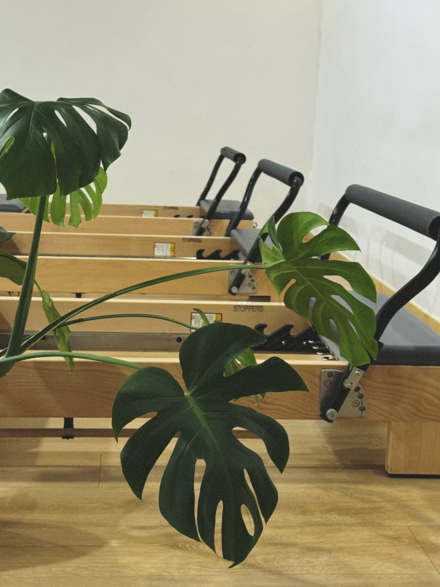 场地封面-十二瑜伽普拉提(金禾中心商场店)